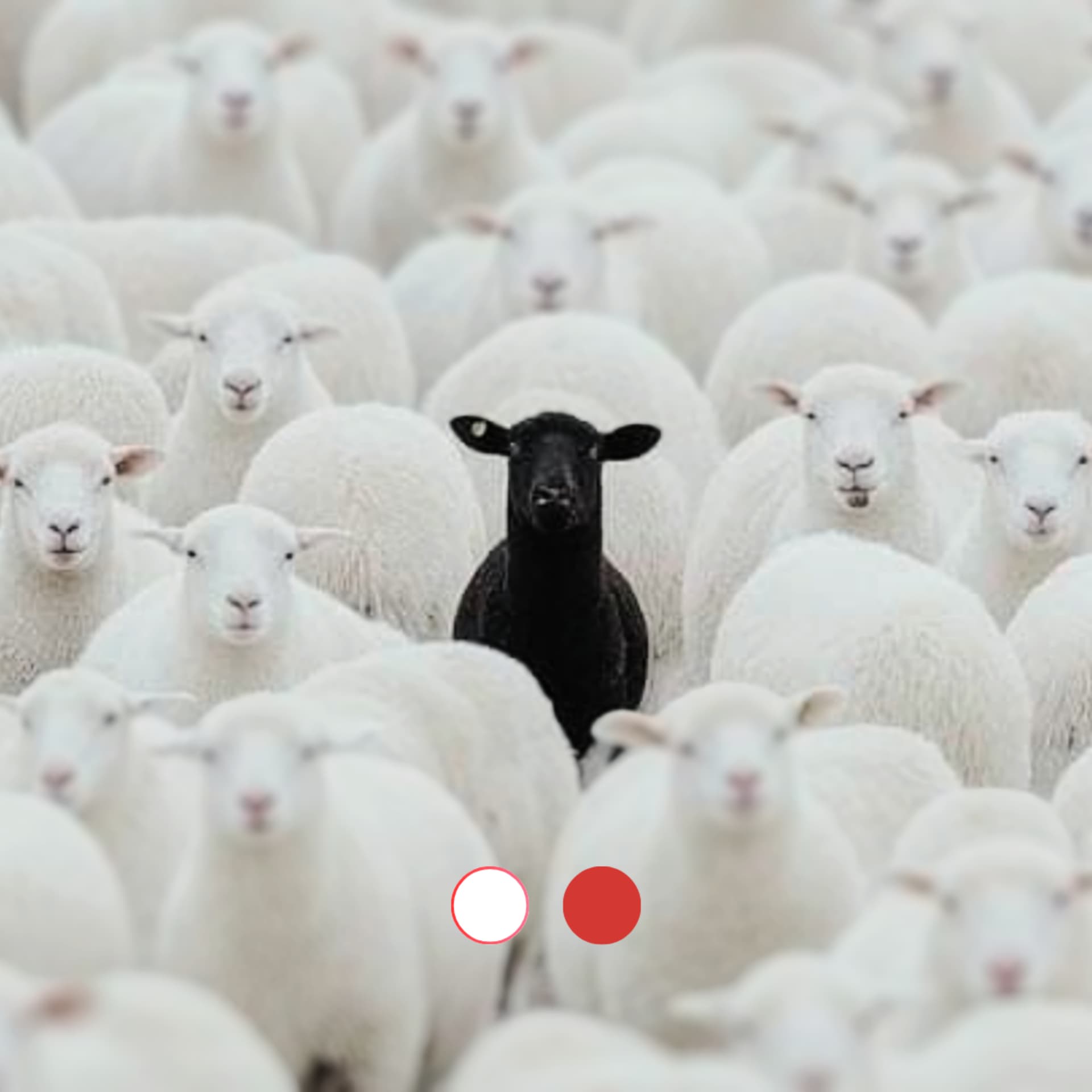 Réflexions (The Red place) - Podcasts