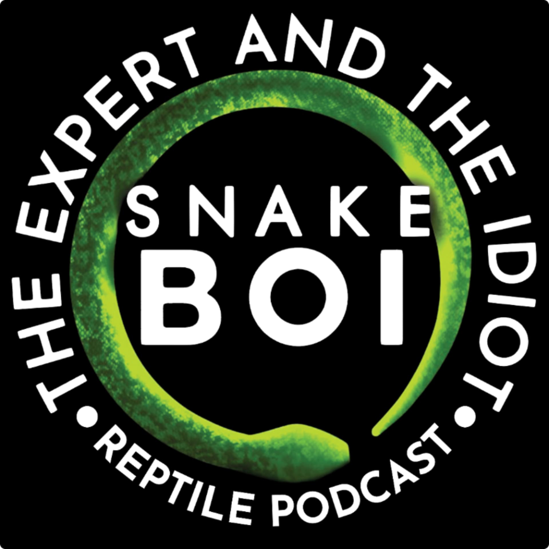 The Expert and The Idiot - A Reptile Podcast - Podcasts