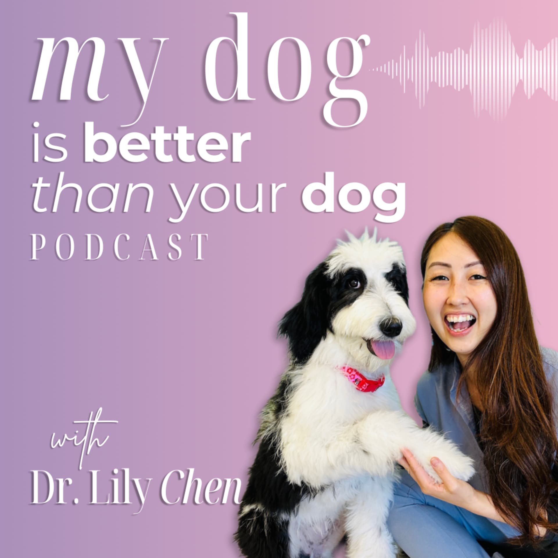 My Dog Is Better Than Your Dog - Podcasts