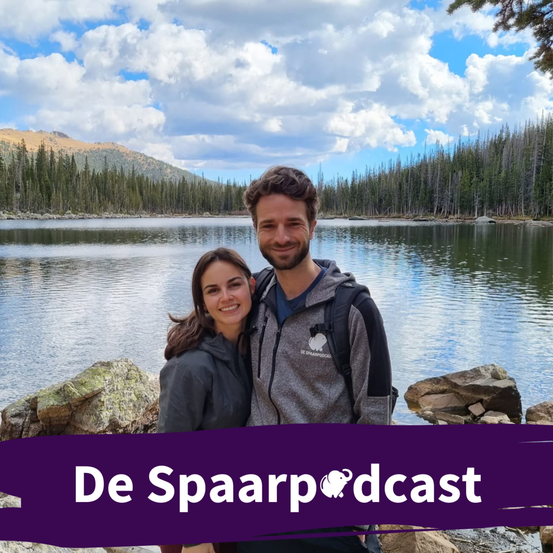 De Spaarpodcast - Podcasts