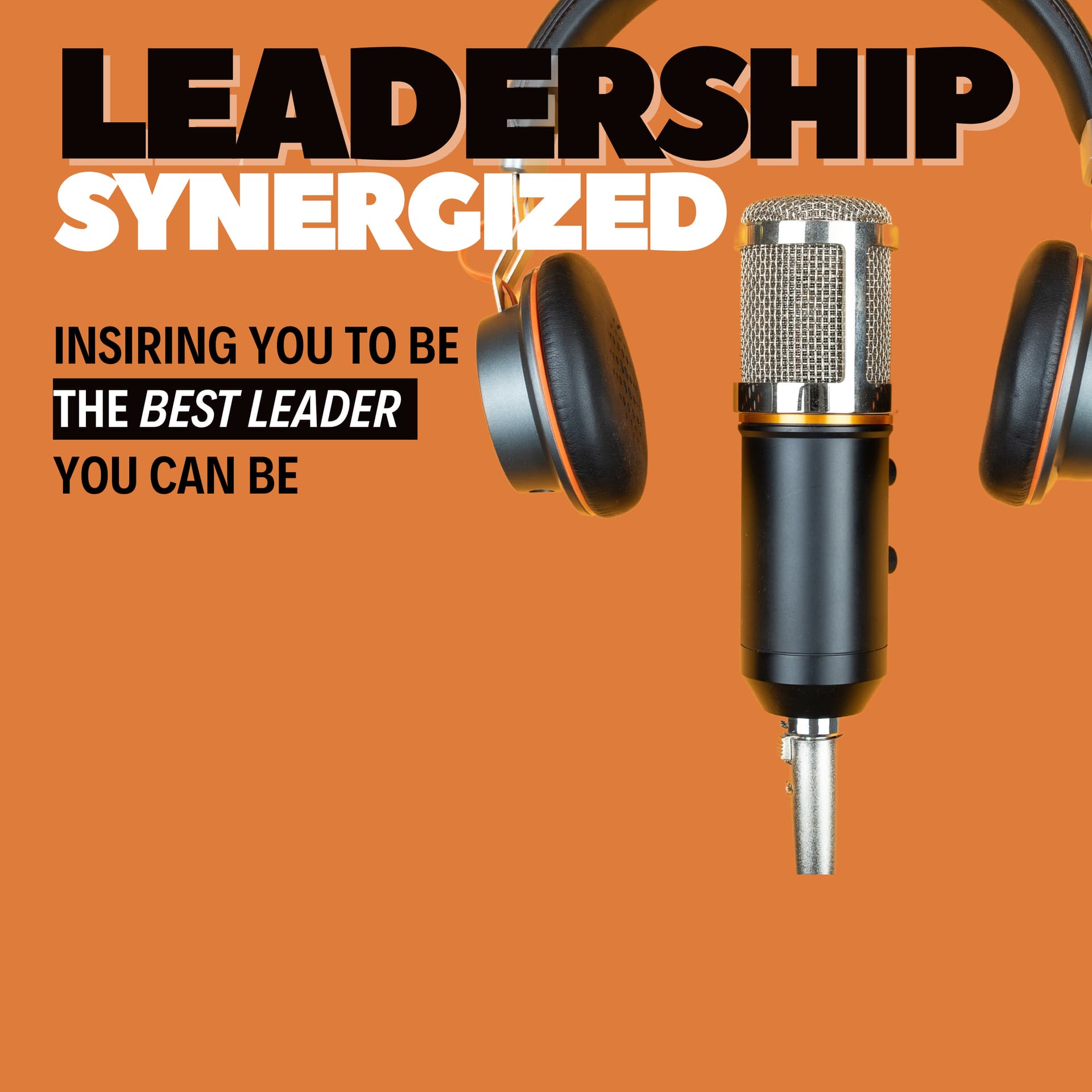 Leadership Synergized - Podcasts