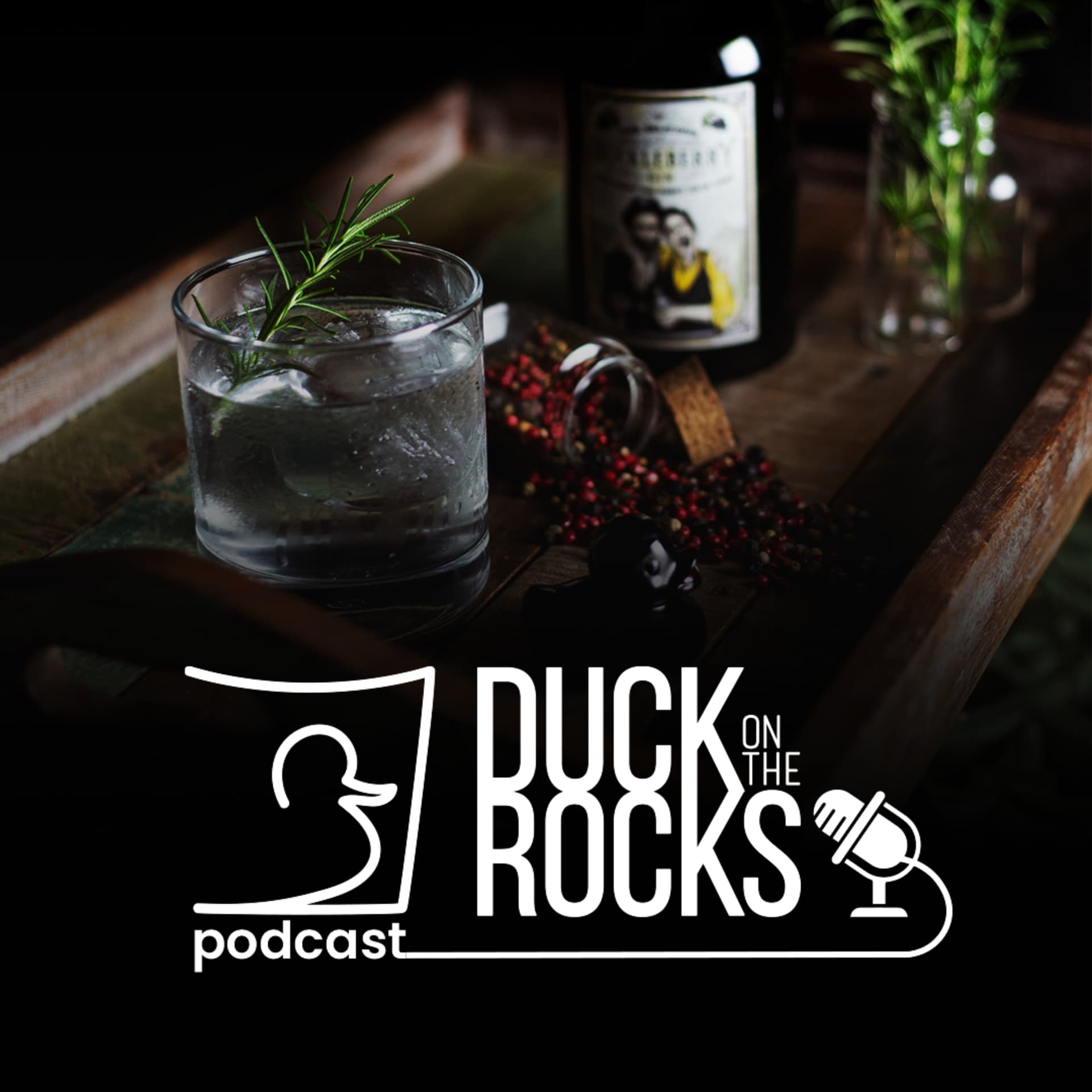 Duck on The Rocks - Podcasts