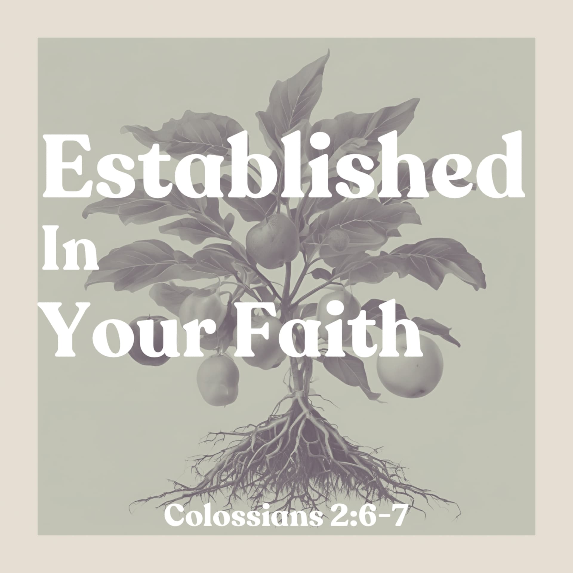 Established in Your Faith - Podcasts
