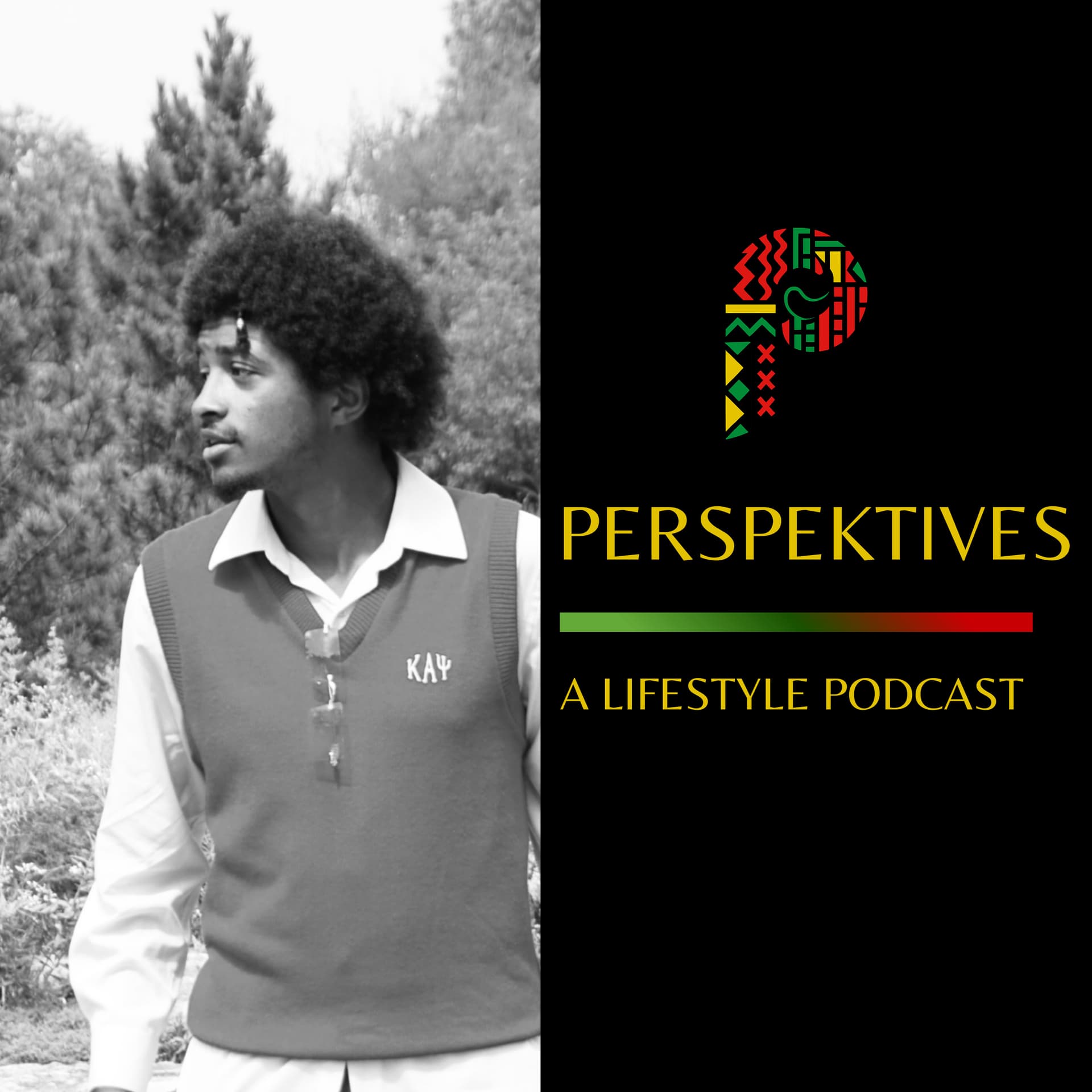 The Perspektives Podcast - Podcasts