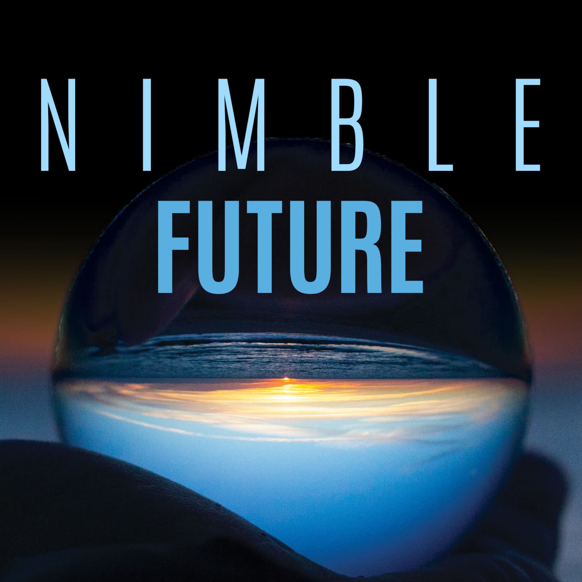 Nimble Future Podcast - Podcasts