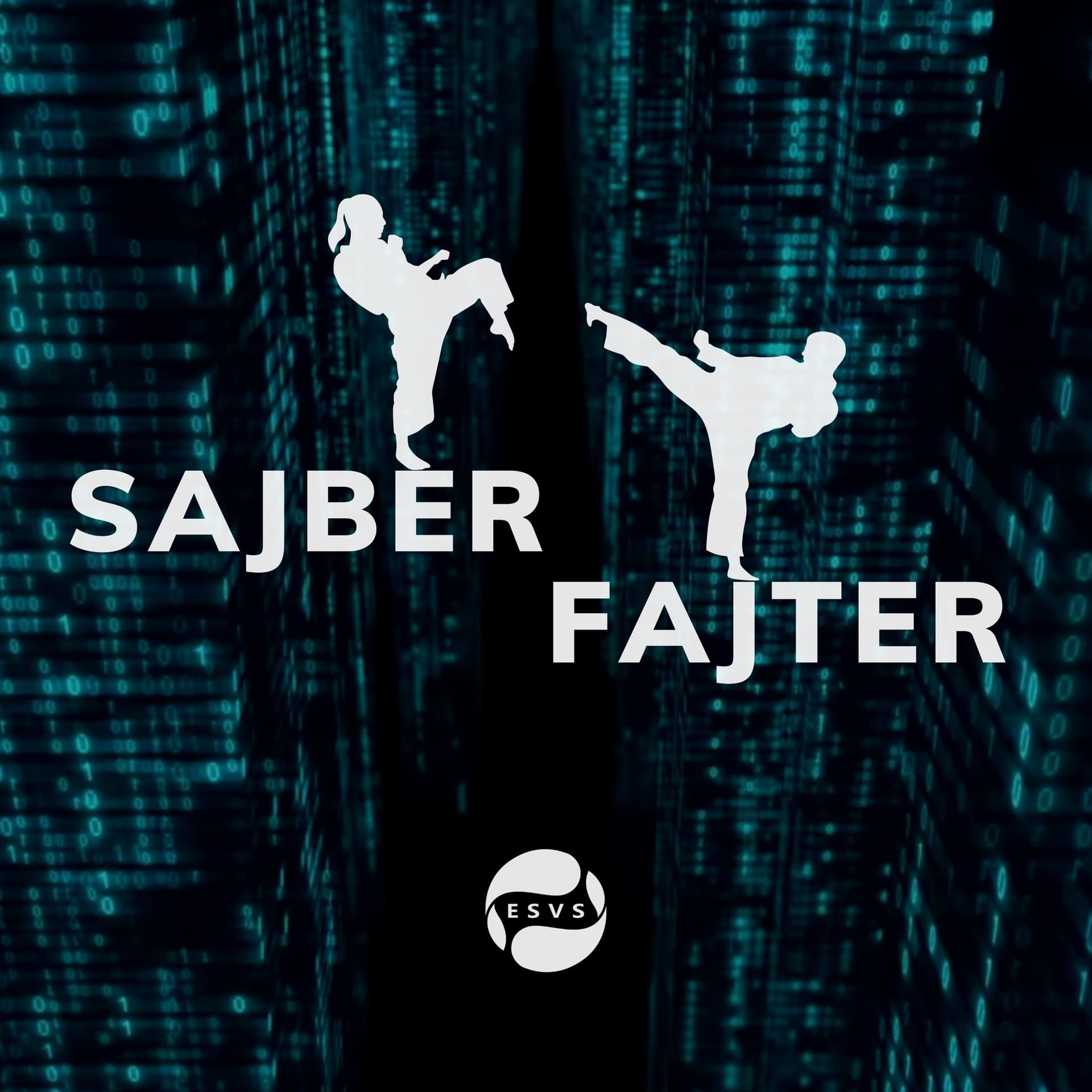 Sajber Fajter - Podcasts