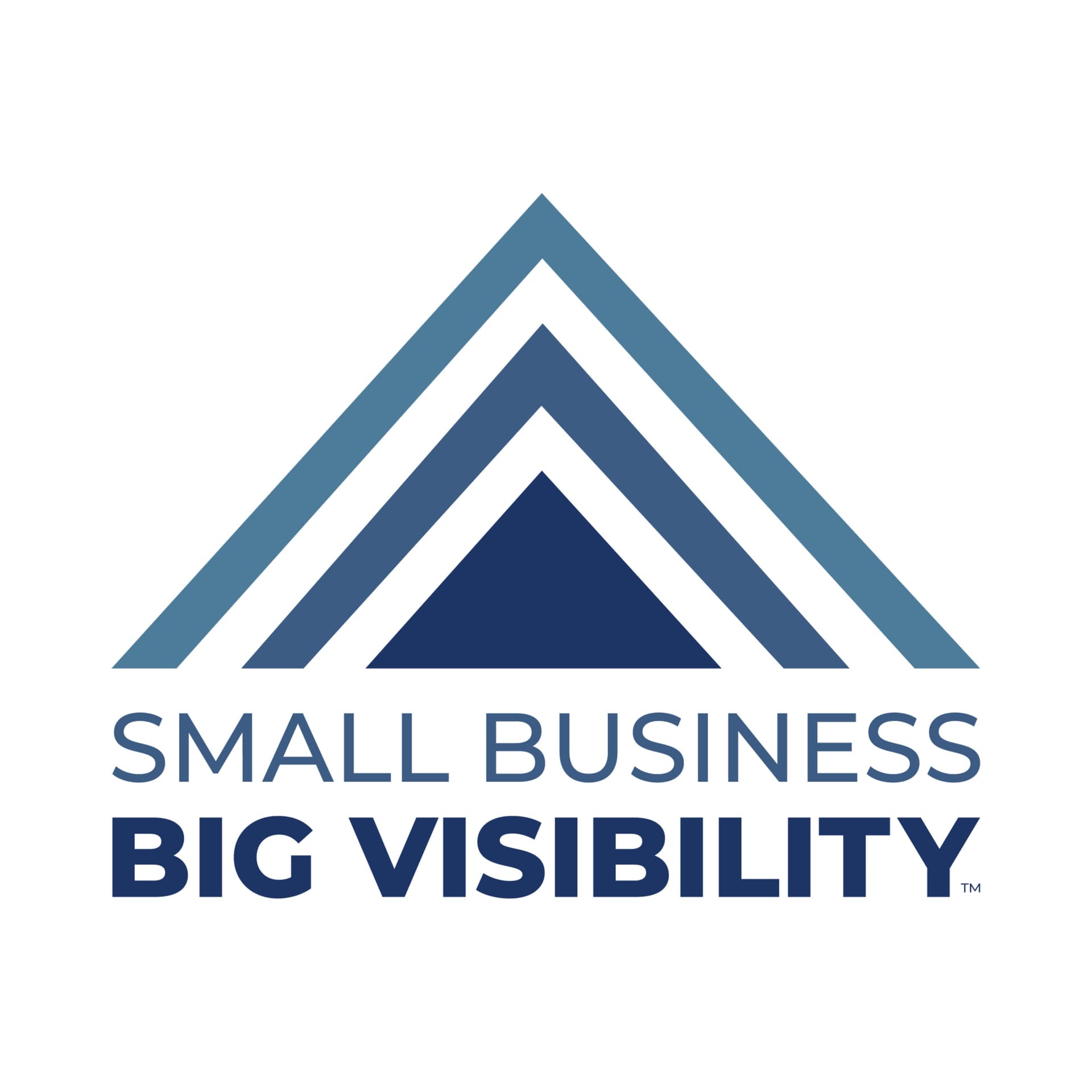 Small Business Big Visibility - Podcasts