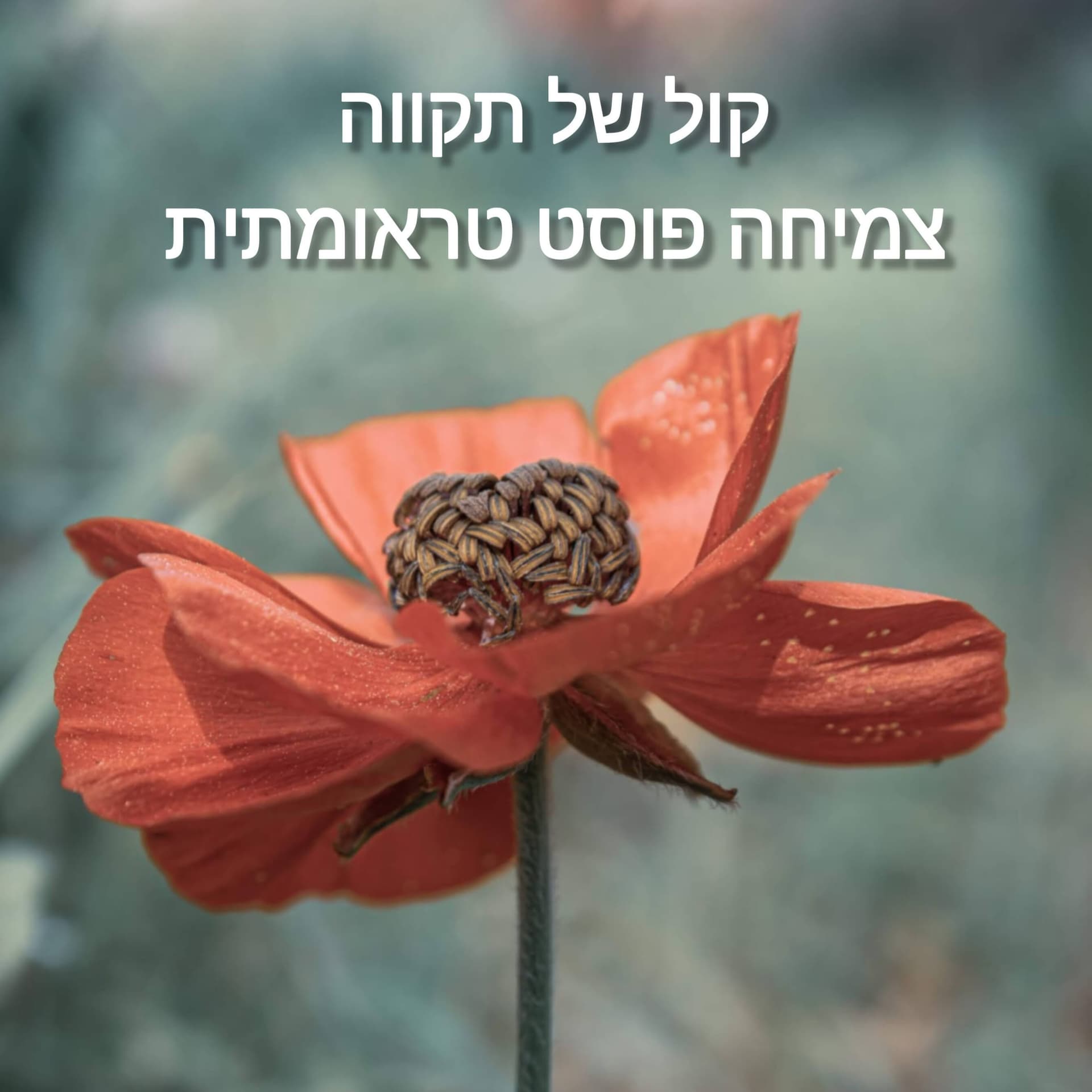 קול של תקווה - Podcasts