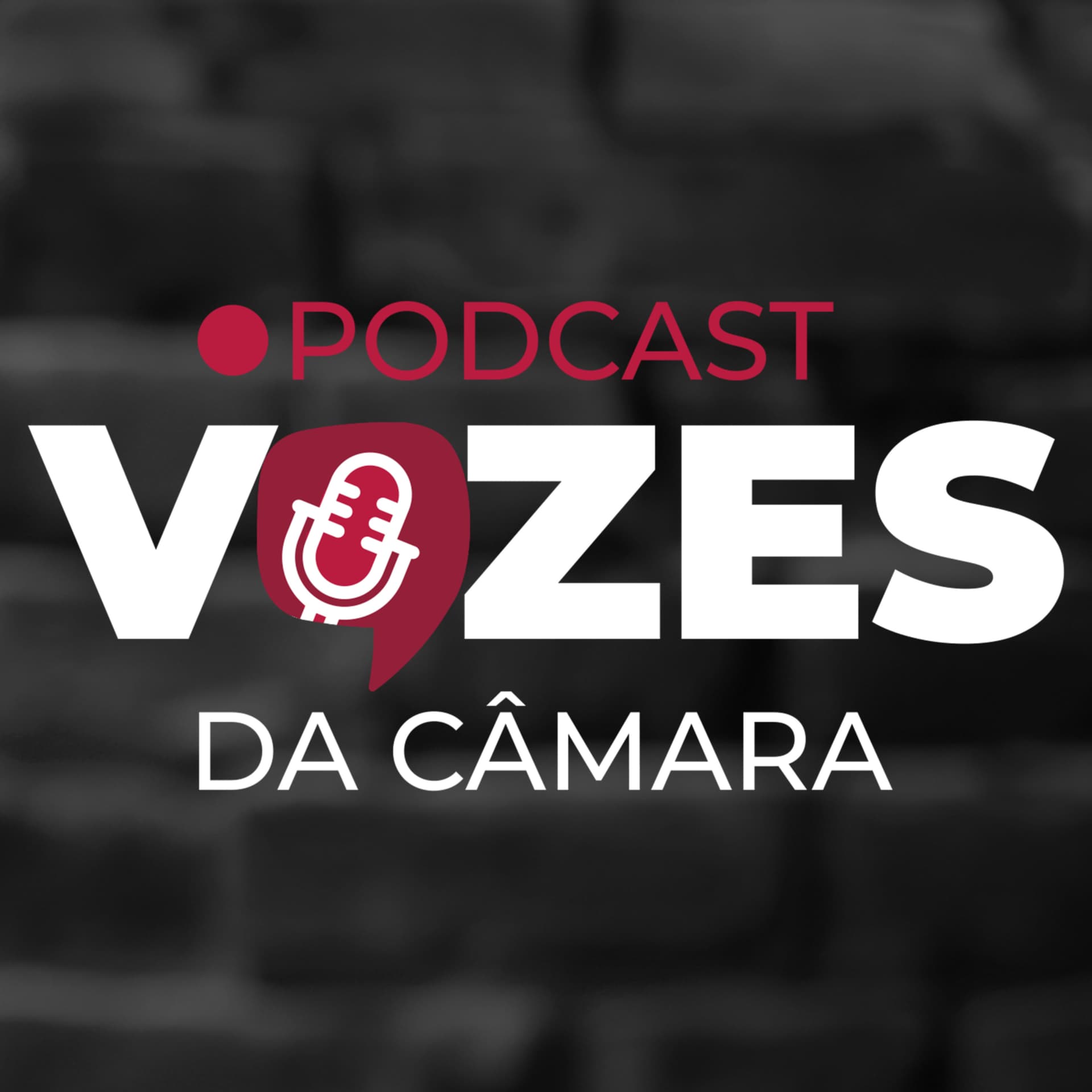 Vozes da Câmara