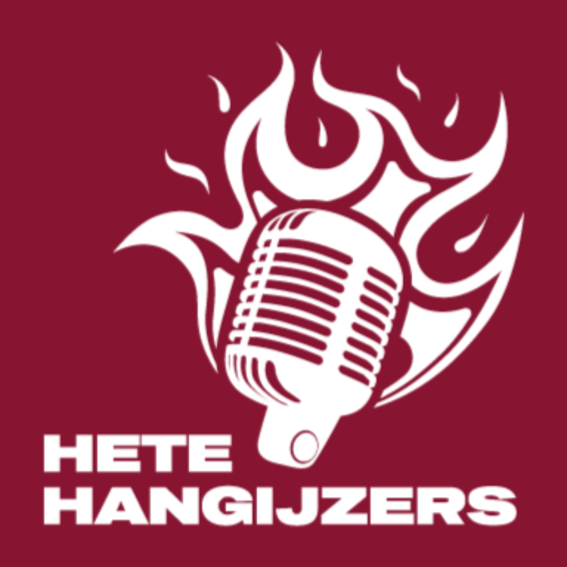 Hete Hangijzers - Toerusting jongeren rondom CGK synode 2024 - Podcasts
