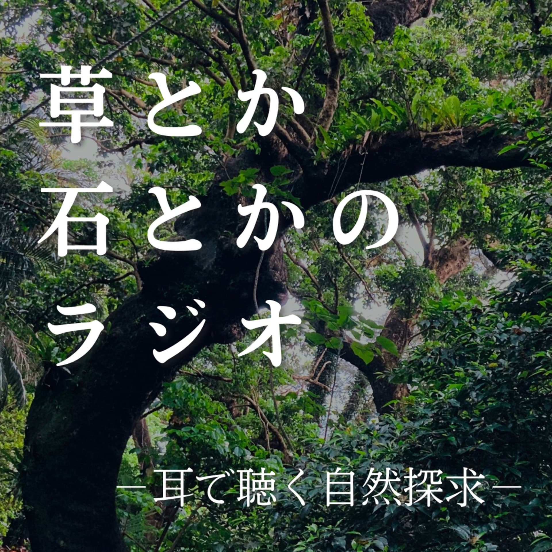 草とか石とかのラジオ 〜耳で聴く自然探求〜 - Podcasts