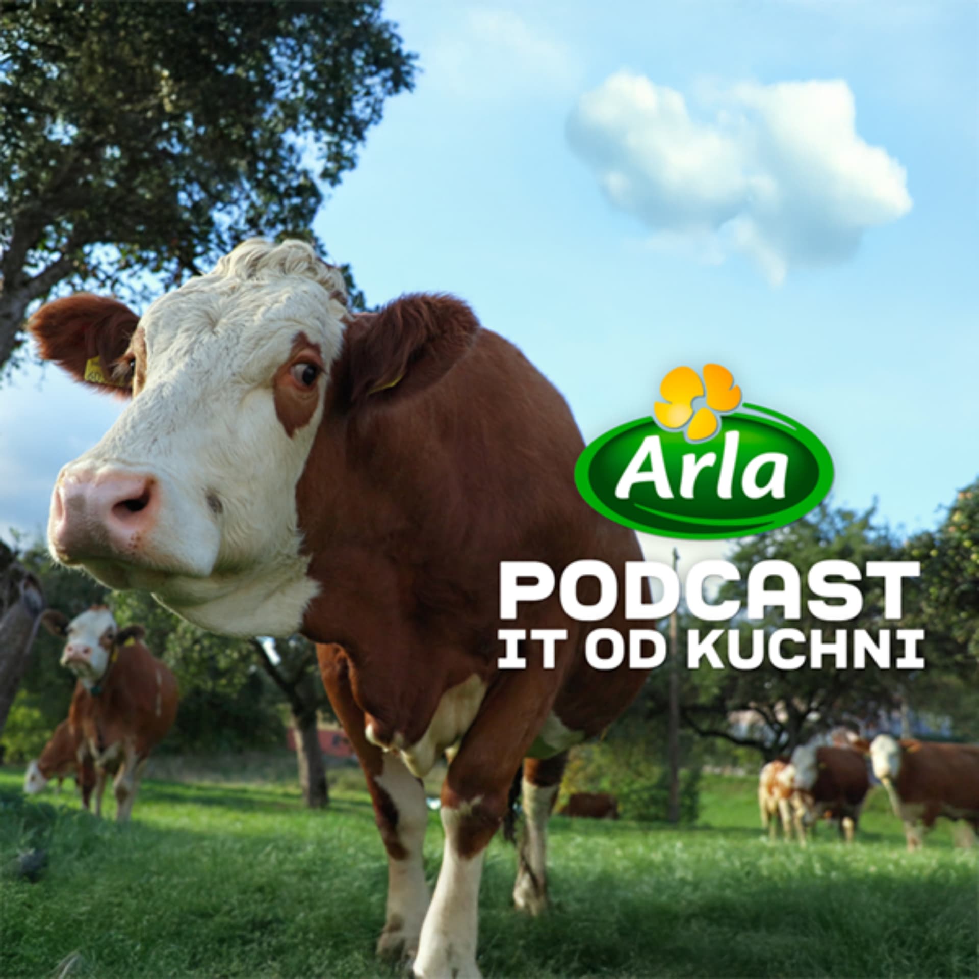 Arla Podcast - IT od kuchni - Podcasts