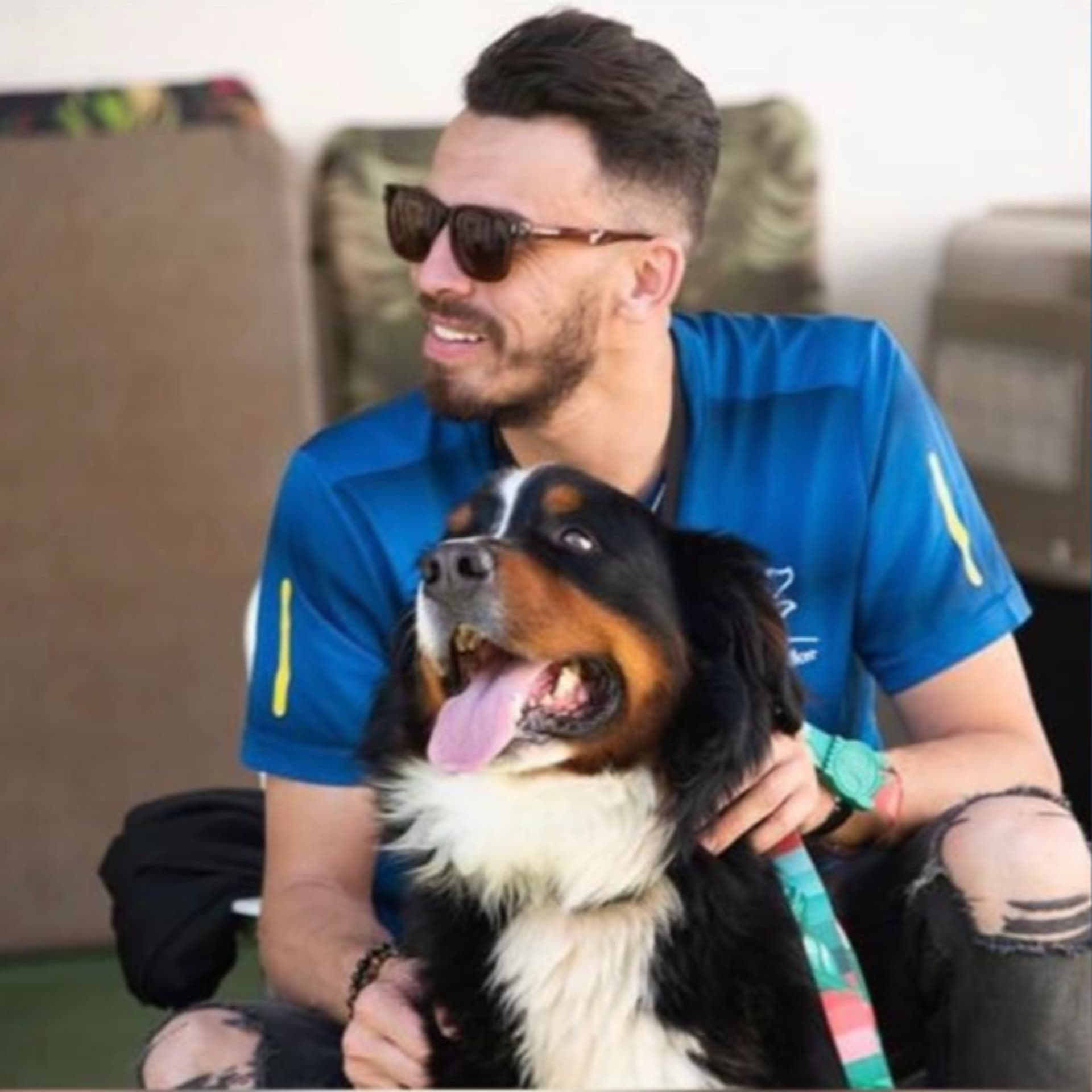 Papo de Treinador: Cães em Foco - Podcasts