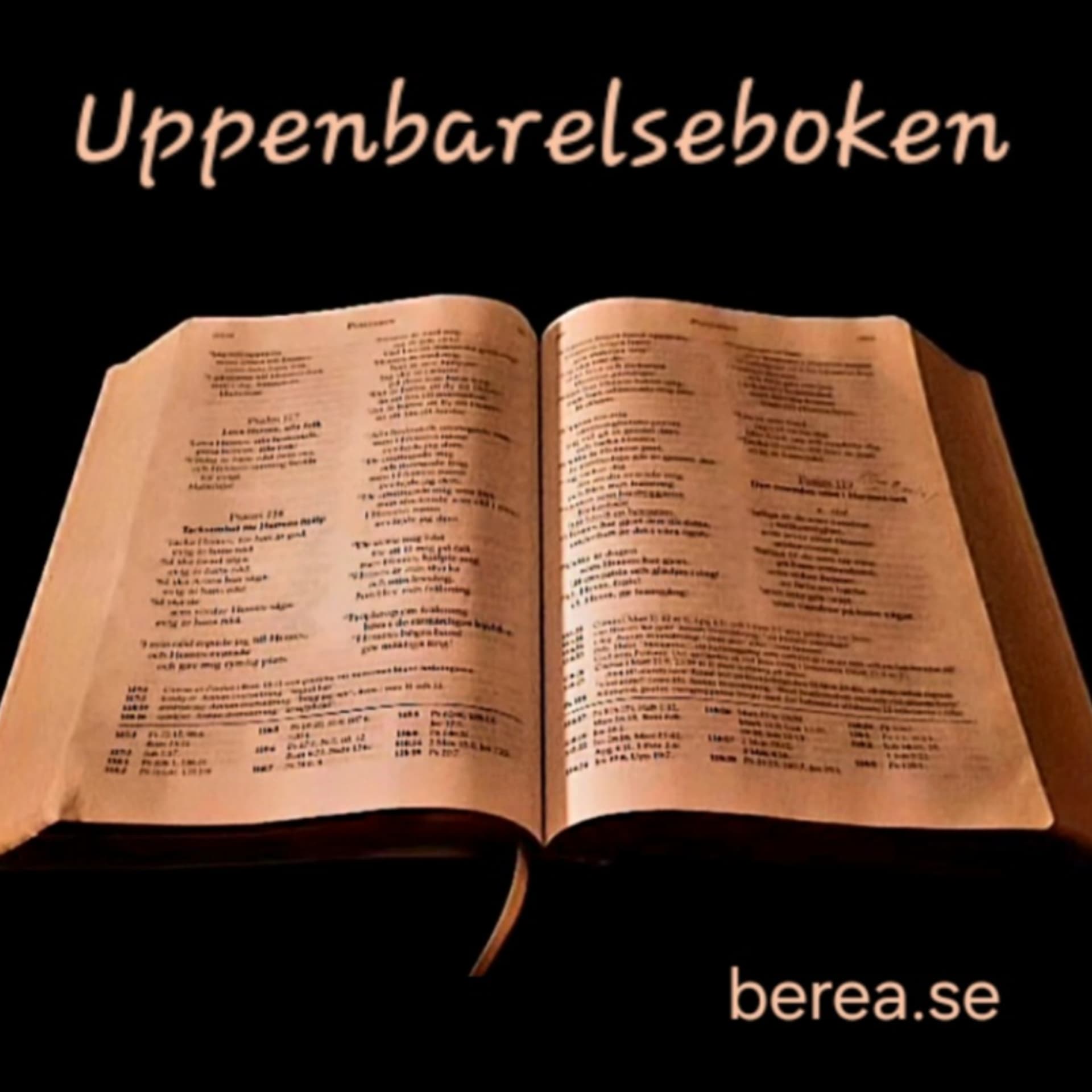 Uppenbarelseboken - Podcasts