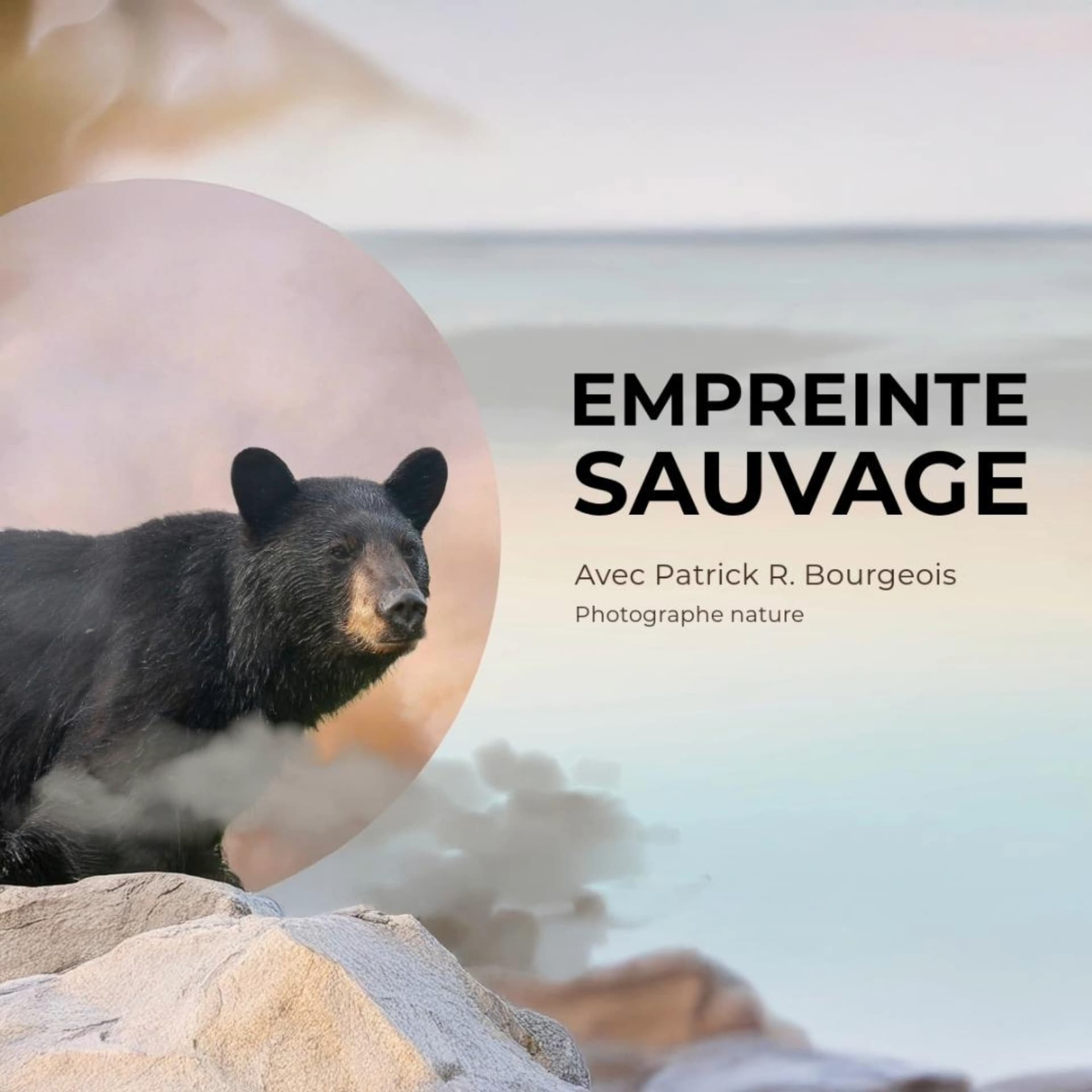 Empreinte sauvage - Podcasts
