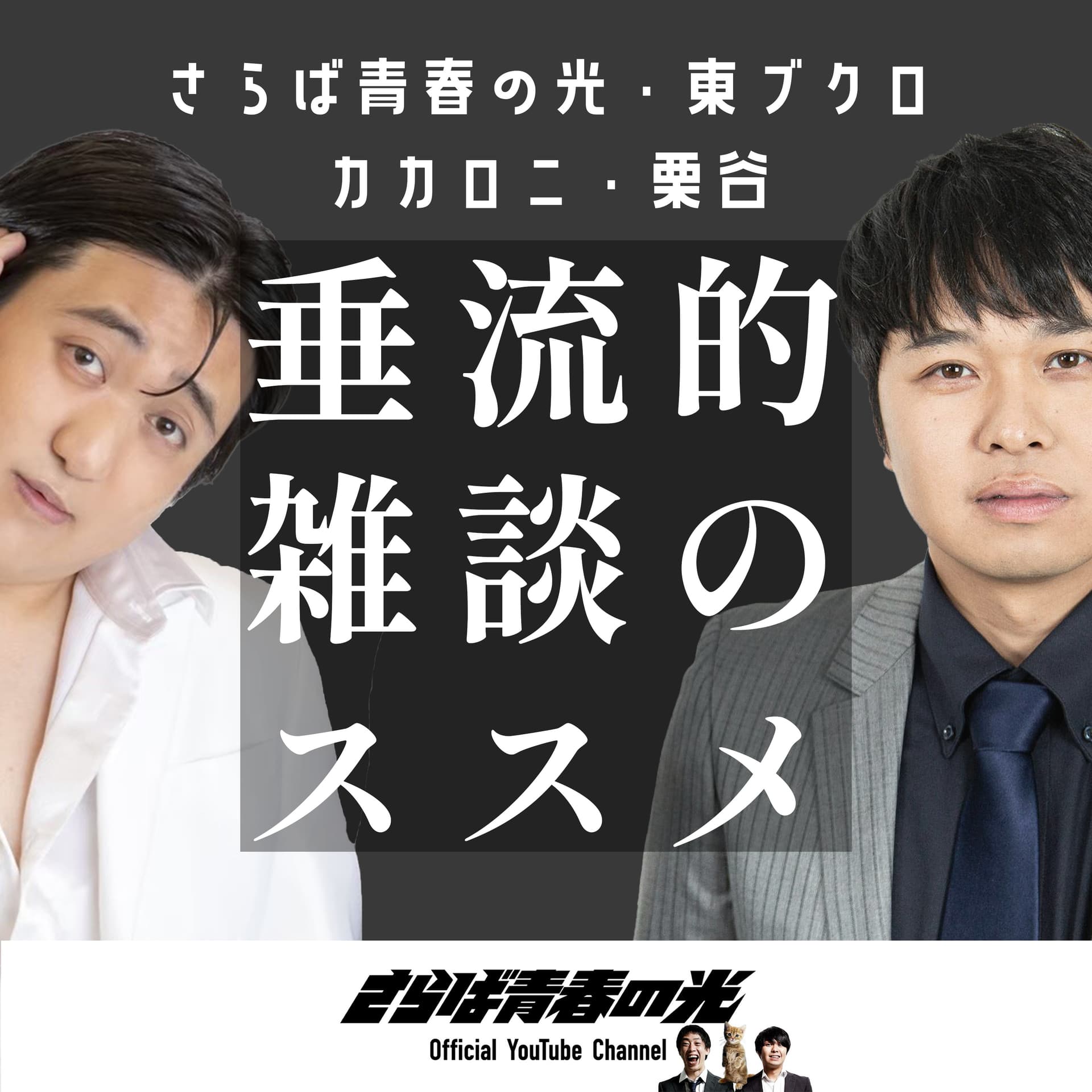 垂流的雑談のススメ - Podcasts