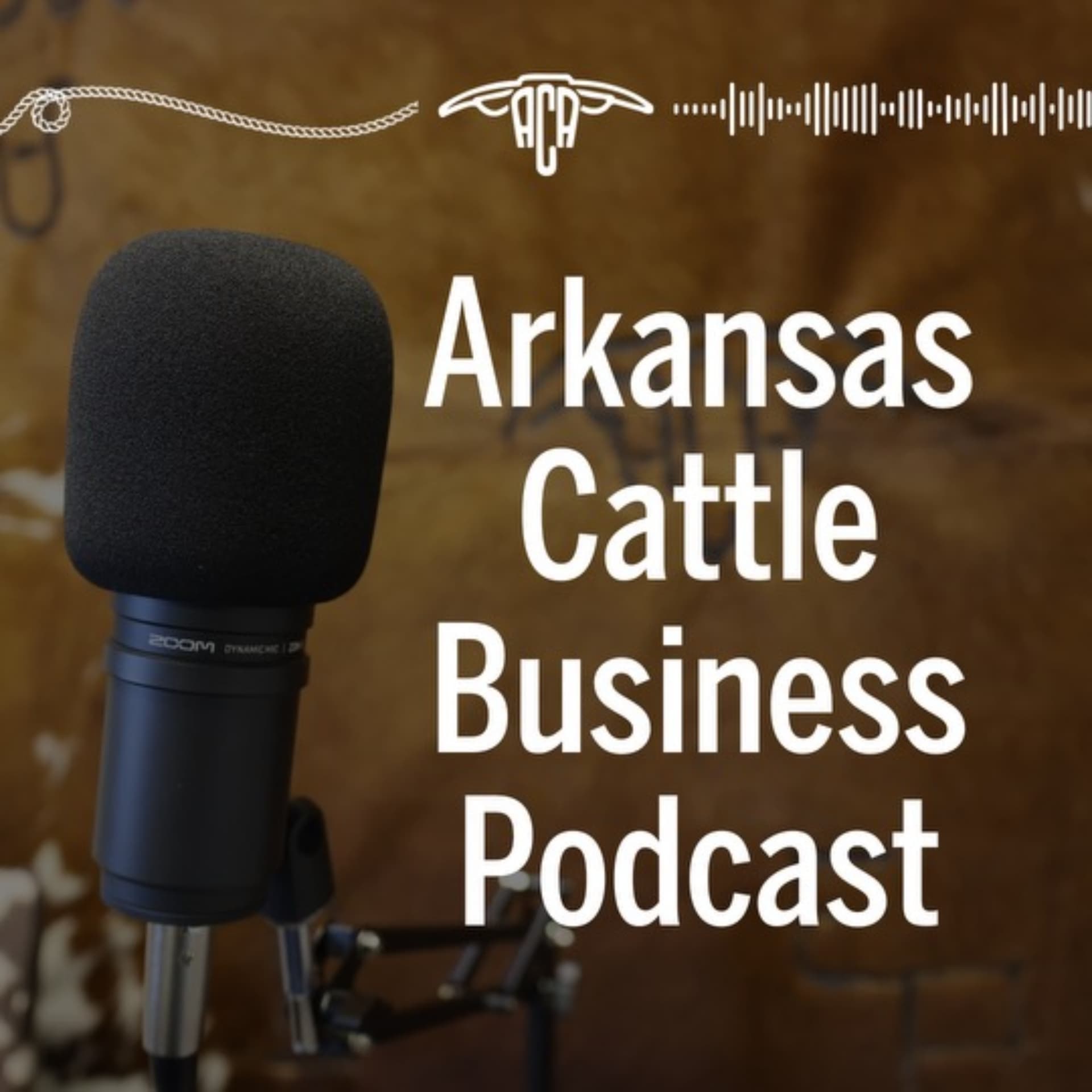 Arkansas Cattle Business Podcast - Podcasts