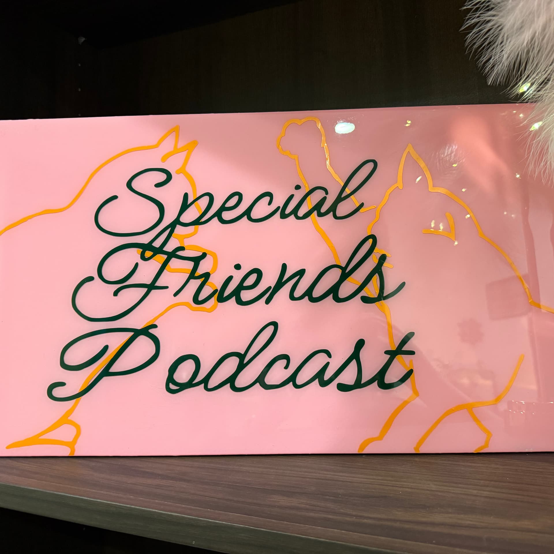 Special Friends Podcast - Podcasts