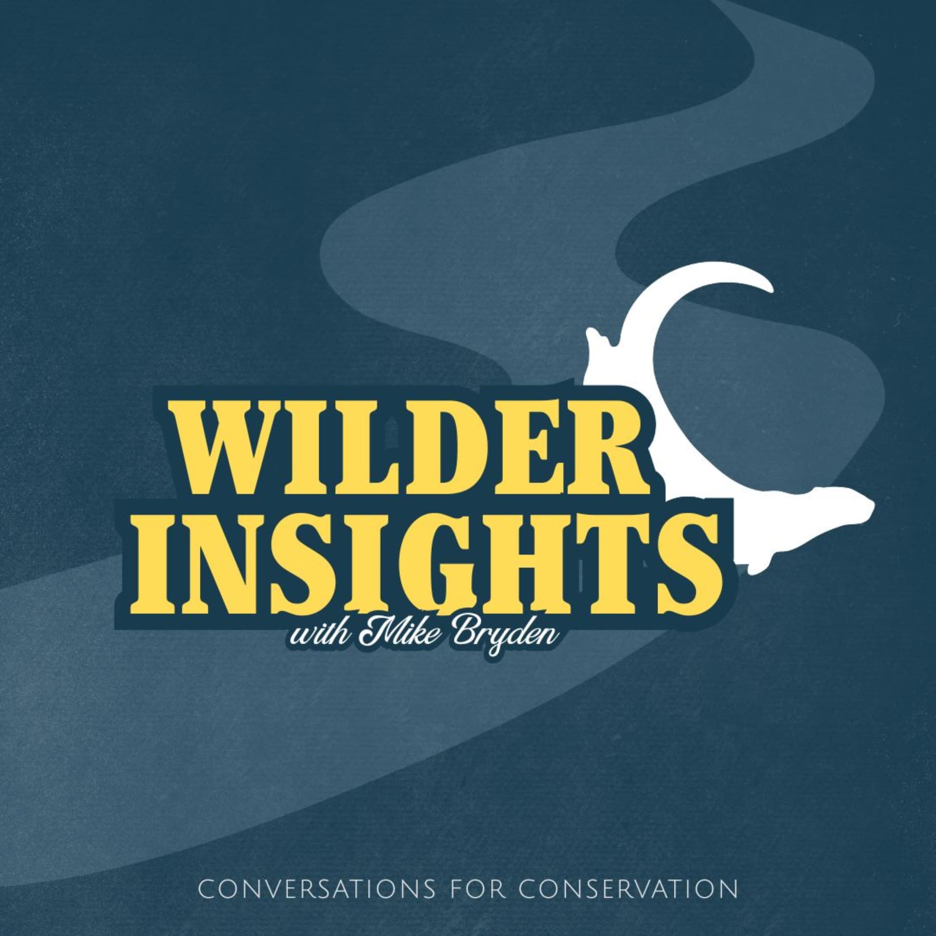 Wilder Insights with Mike Bryden - Podcasts