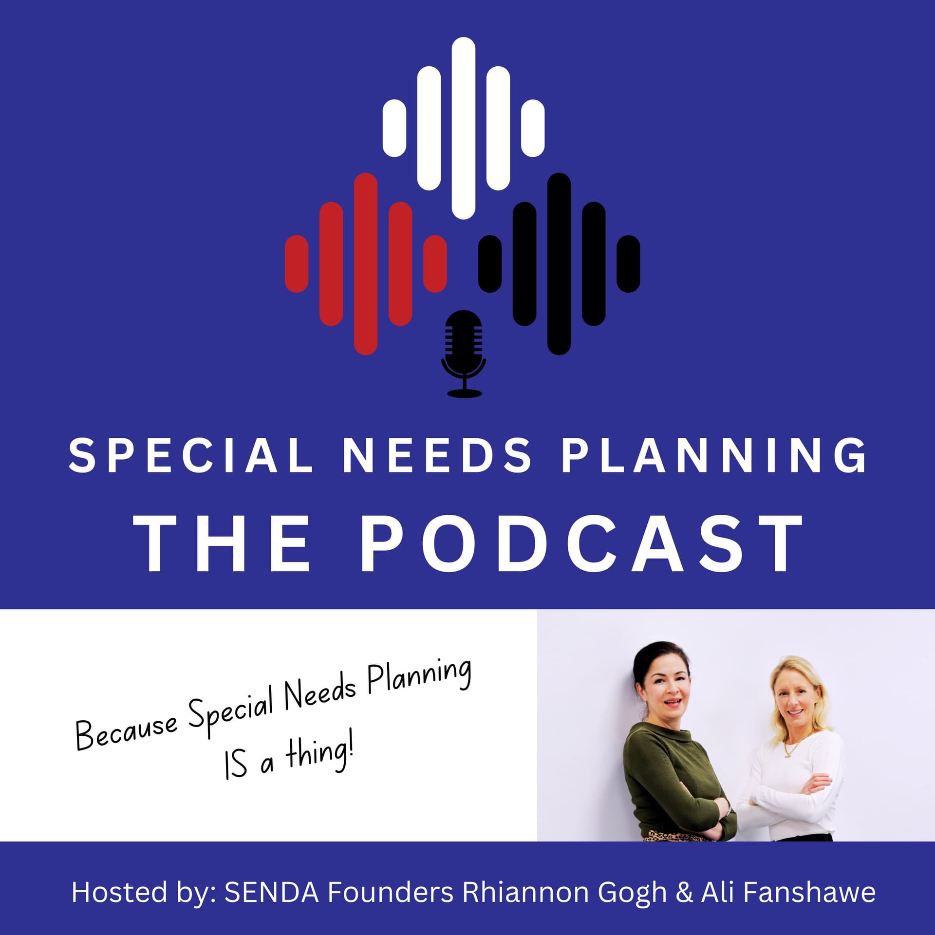 Special Needs Planning: The Podcast - Podcasts