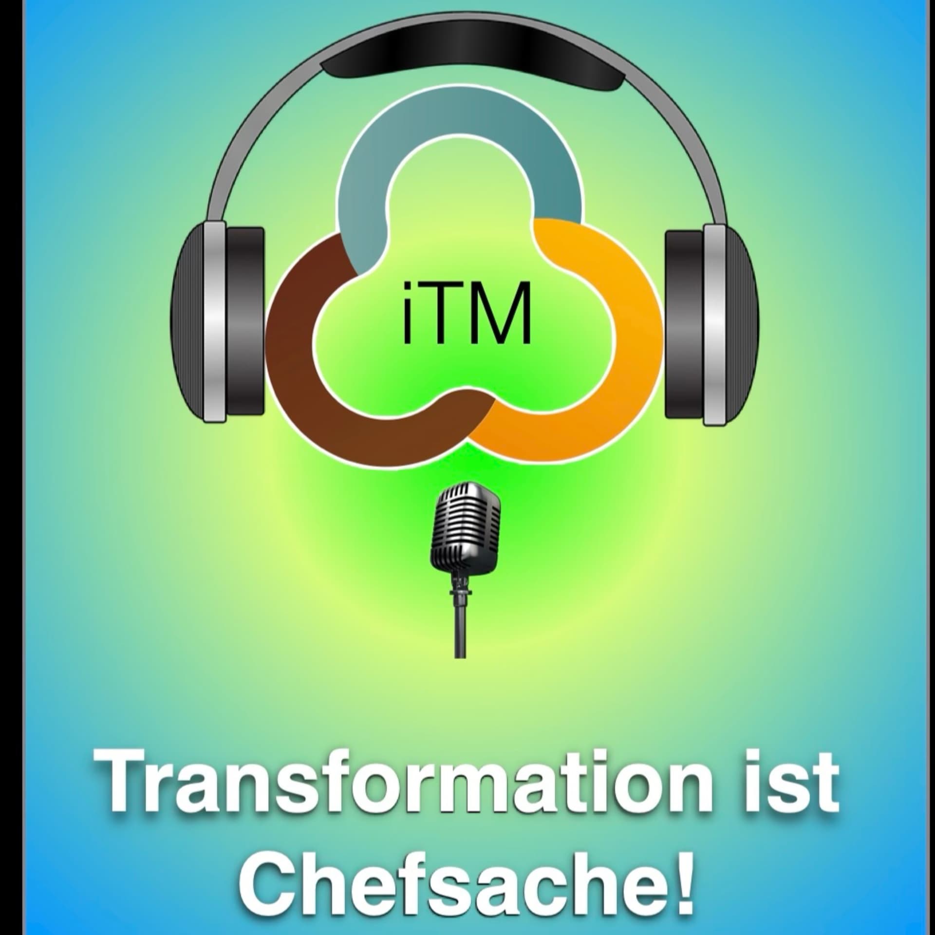 Transformation ist Chefsache! - Podcasts