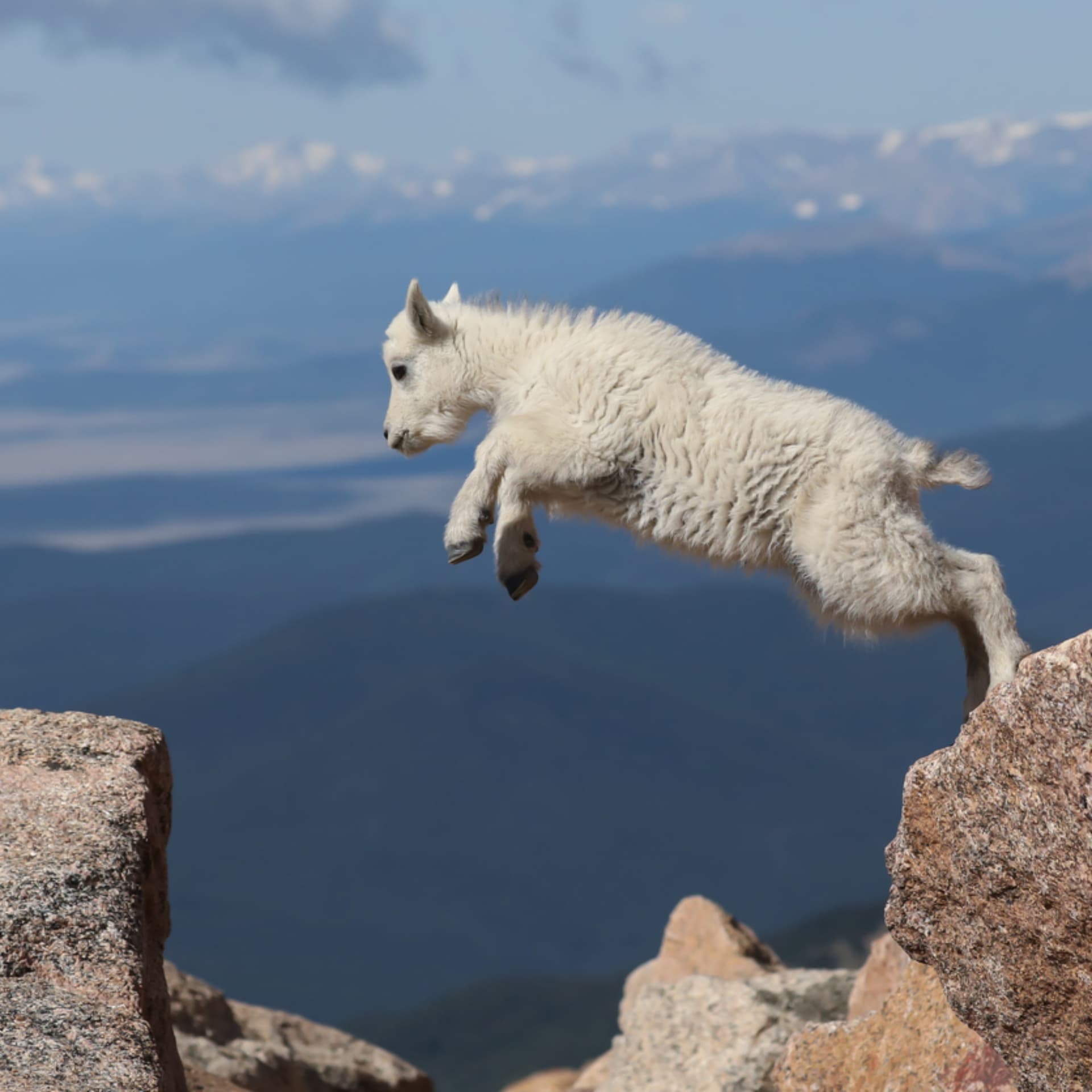 Are You Relentlessly Resilient? - Podcasts
