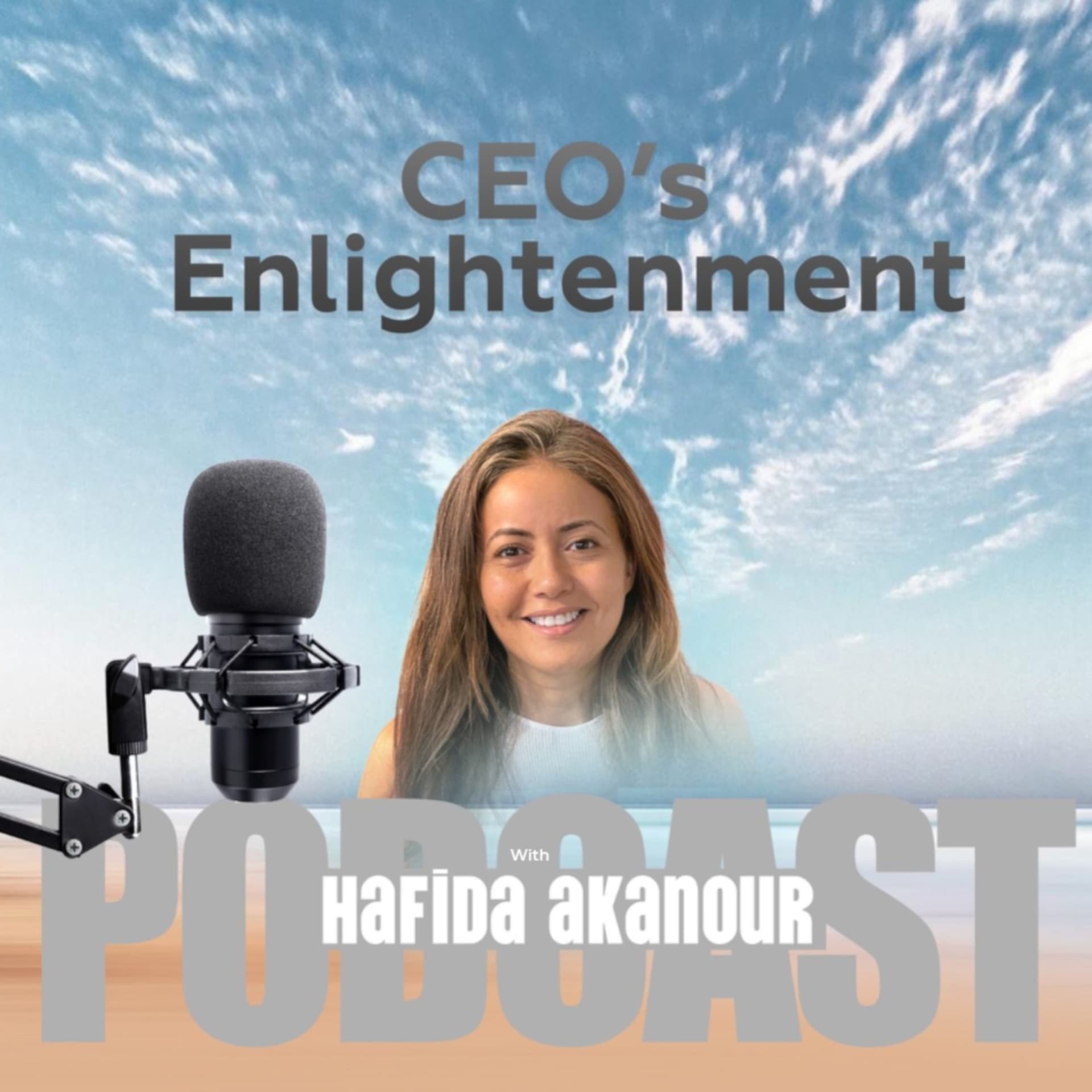 CEO's Enlightenment - Podcasts