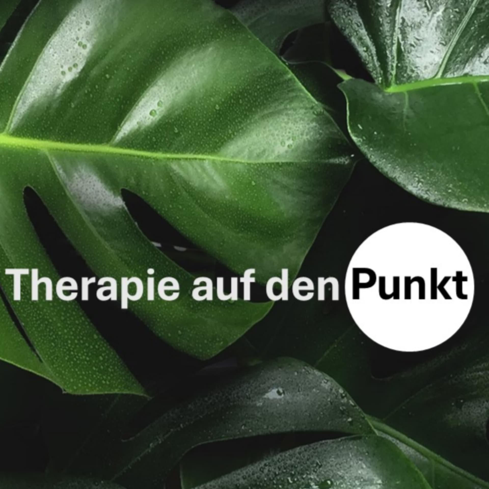 Therapie auf den Punkt - Podcasts