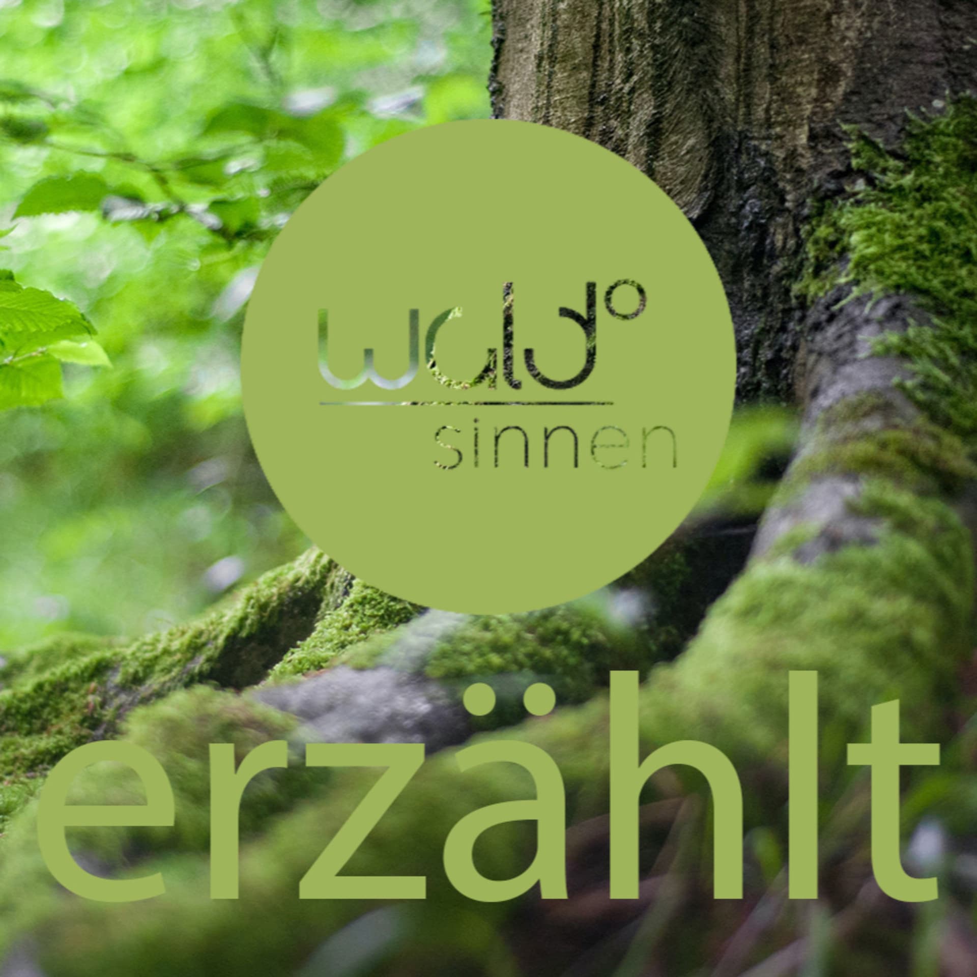 Waldsinnen erzählt - Podcasts