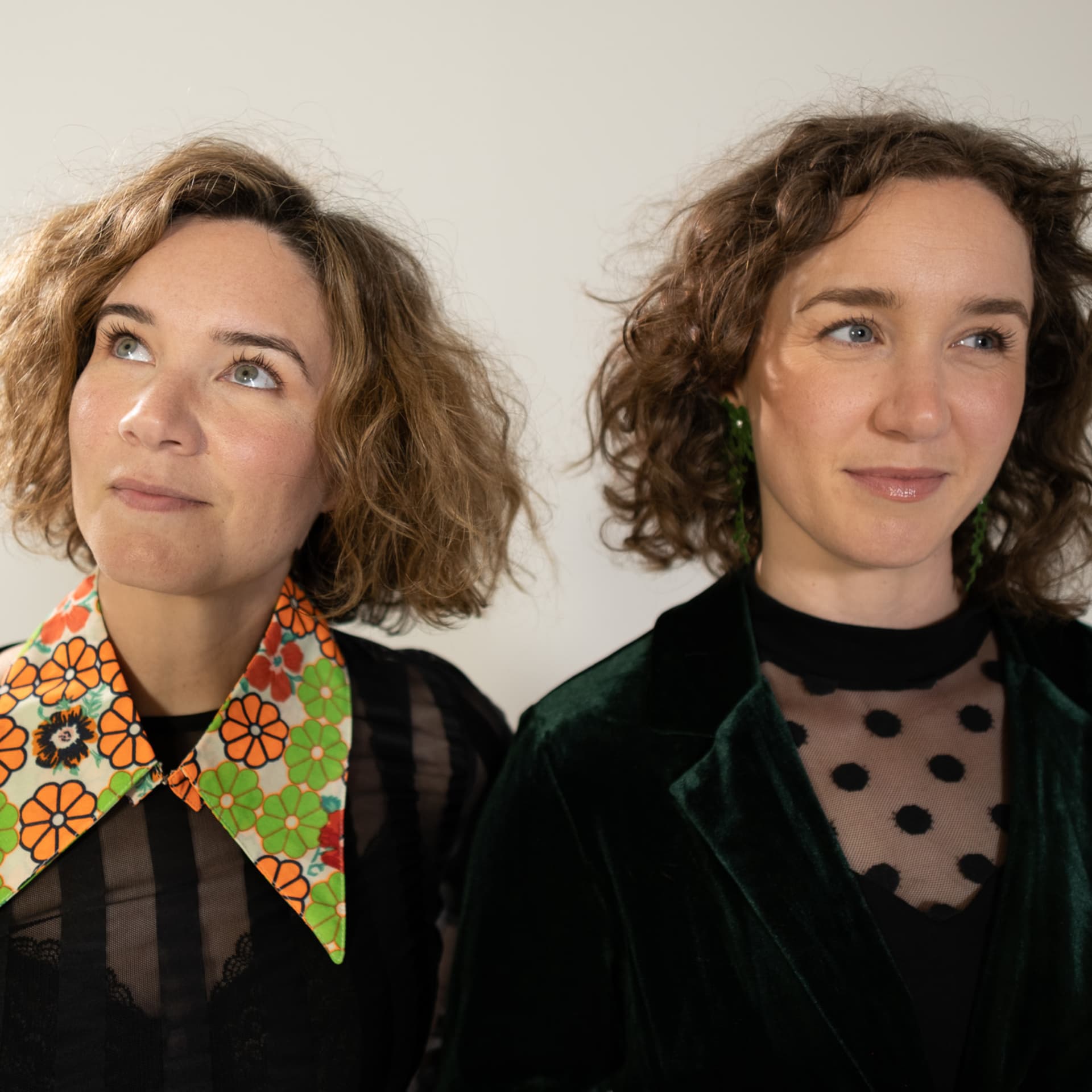 Teeny Tiny Stevies Talk Music - The Green Album - Podcasts