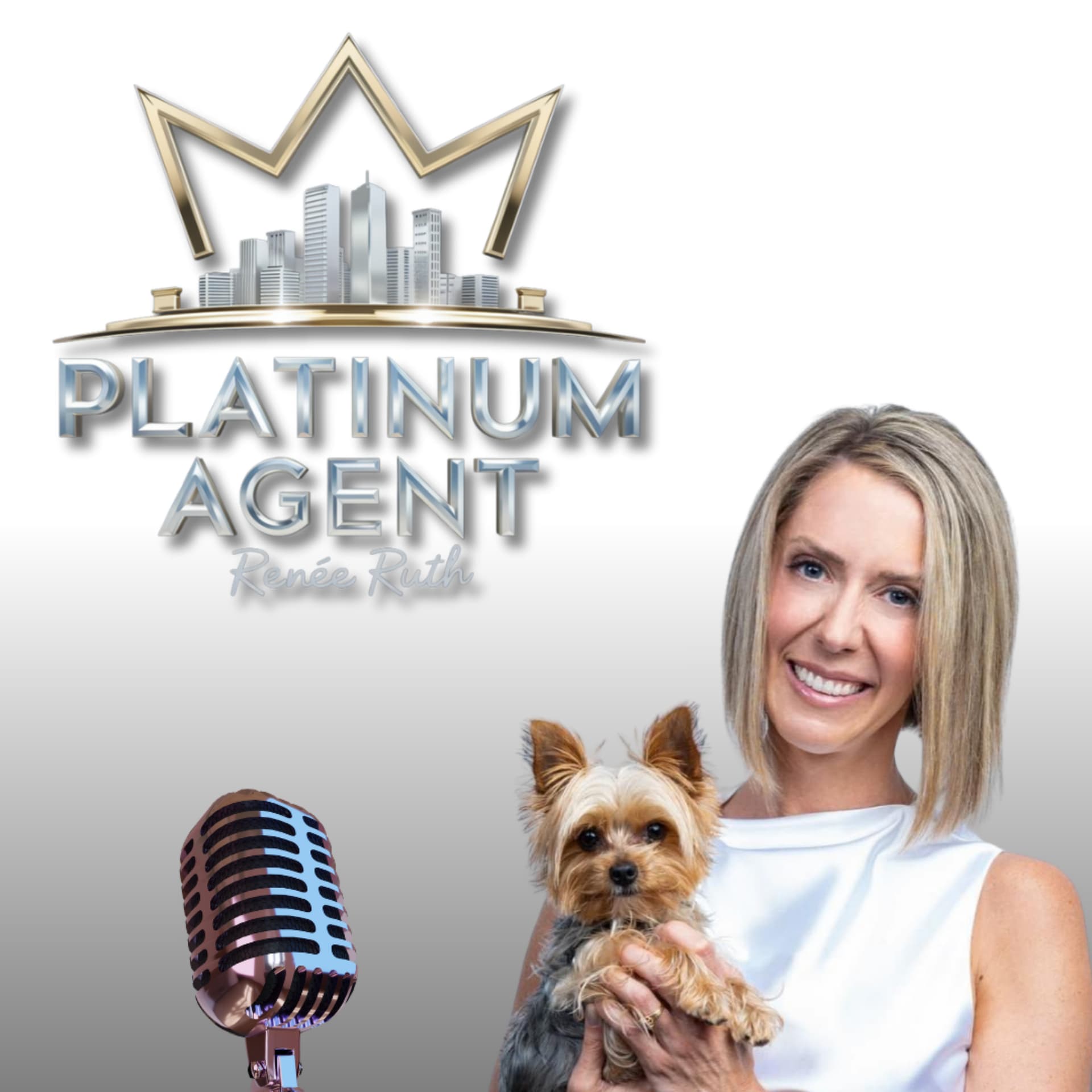 Platinum Agent Podcast - Podcasts
