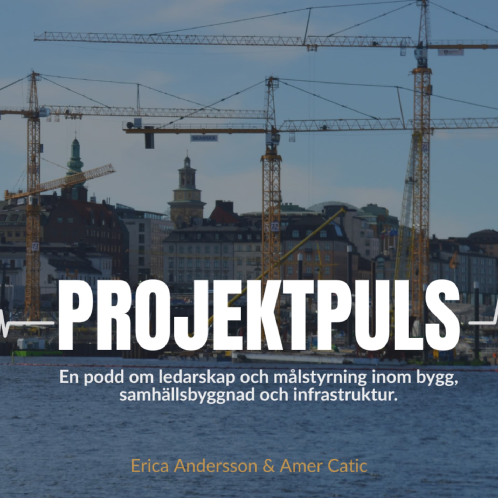 Projektpuls - Podcasts