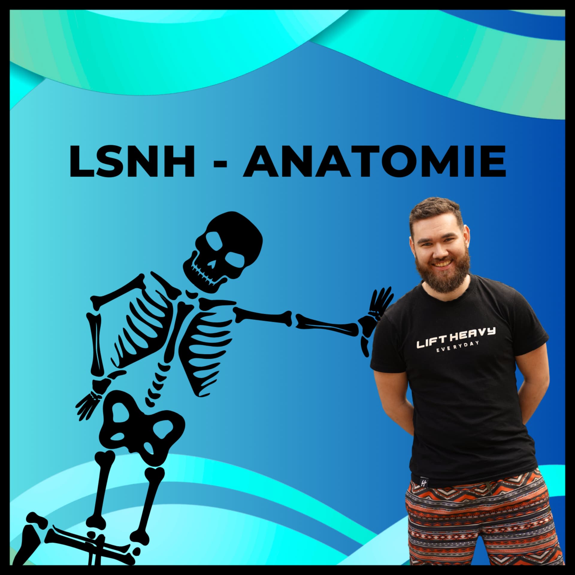 LSNH - Anatomie - Podcasts