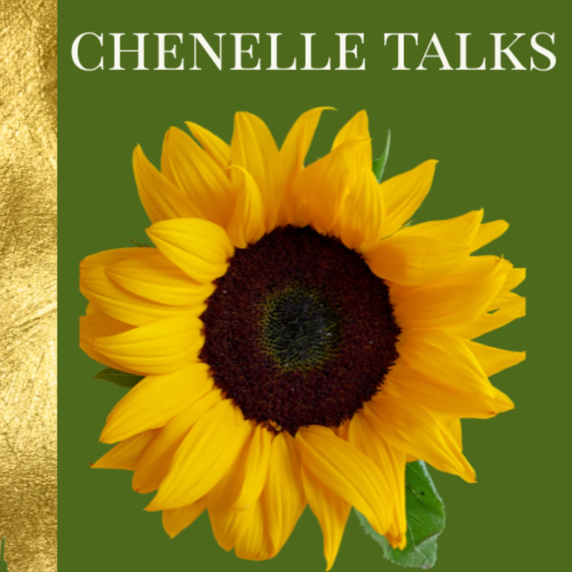 Chenelle Talks - Podcasts