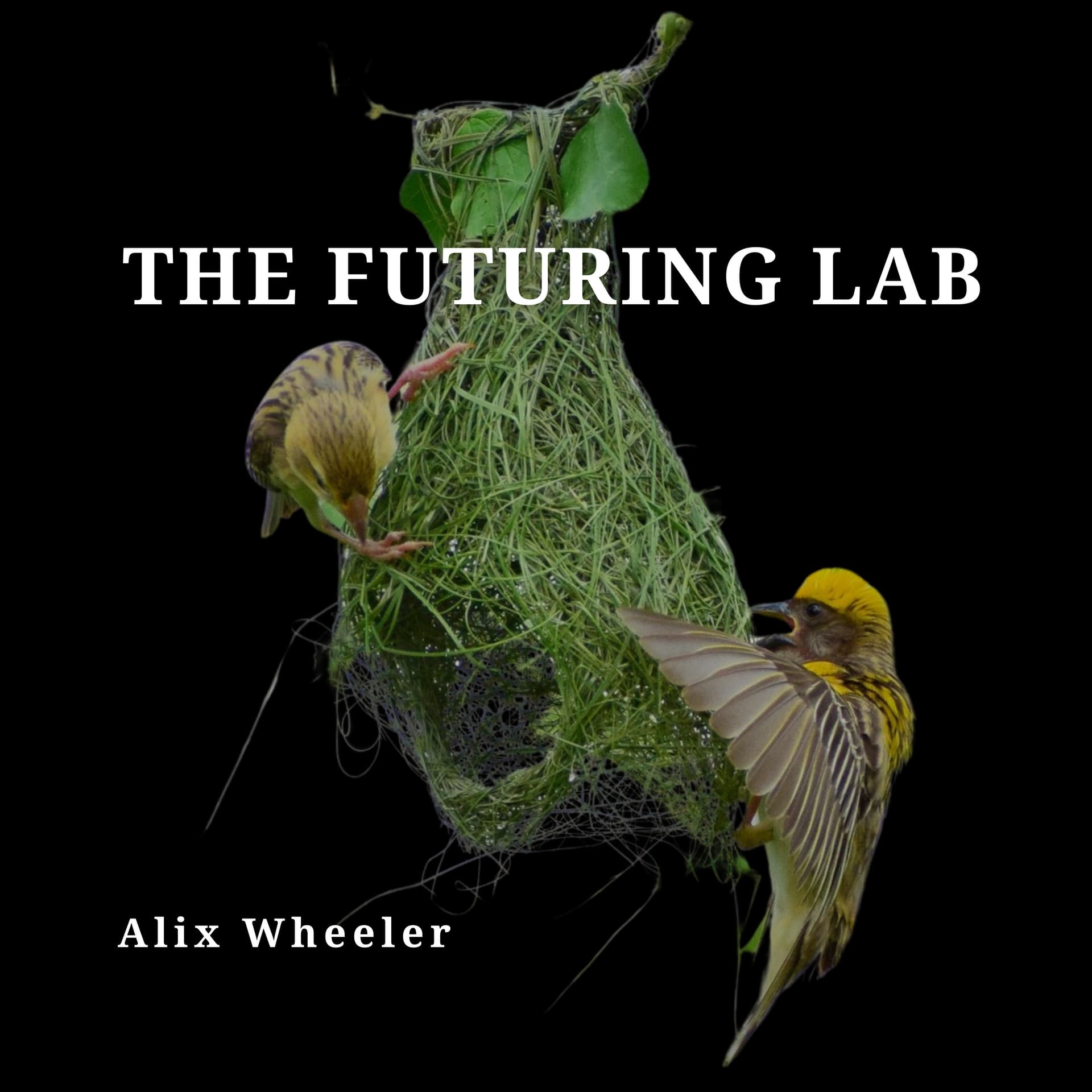 The Futuring Lab - Podcasts