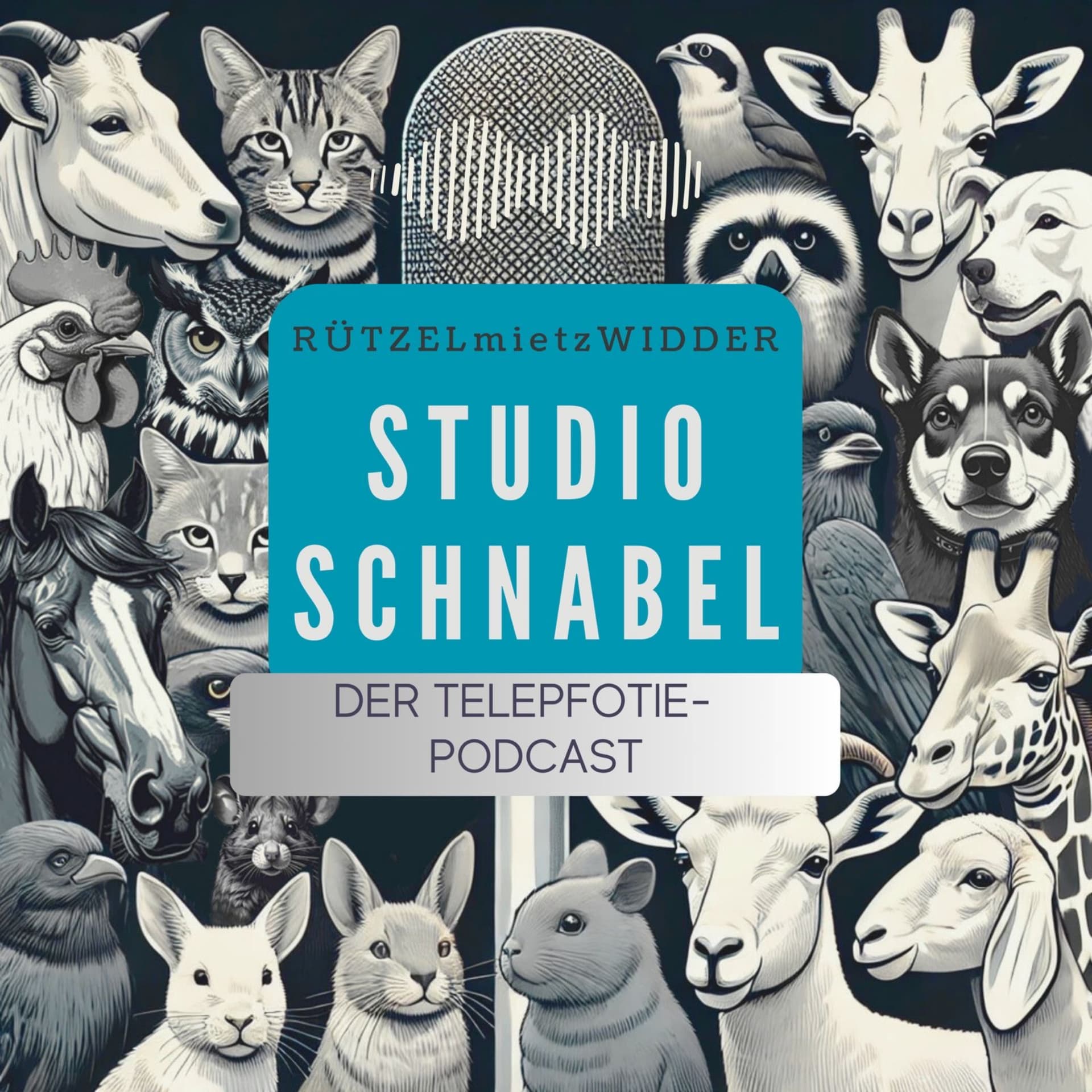 Studio Schnabel – der Telepfotie-Podcast - Podcasts