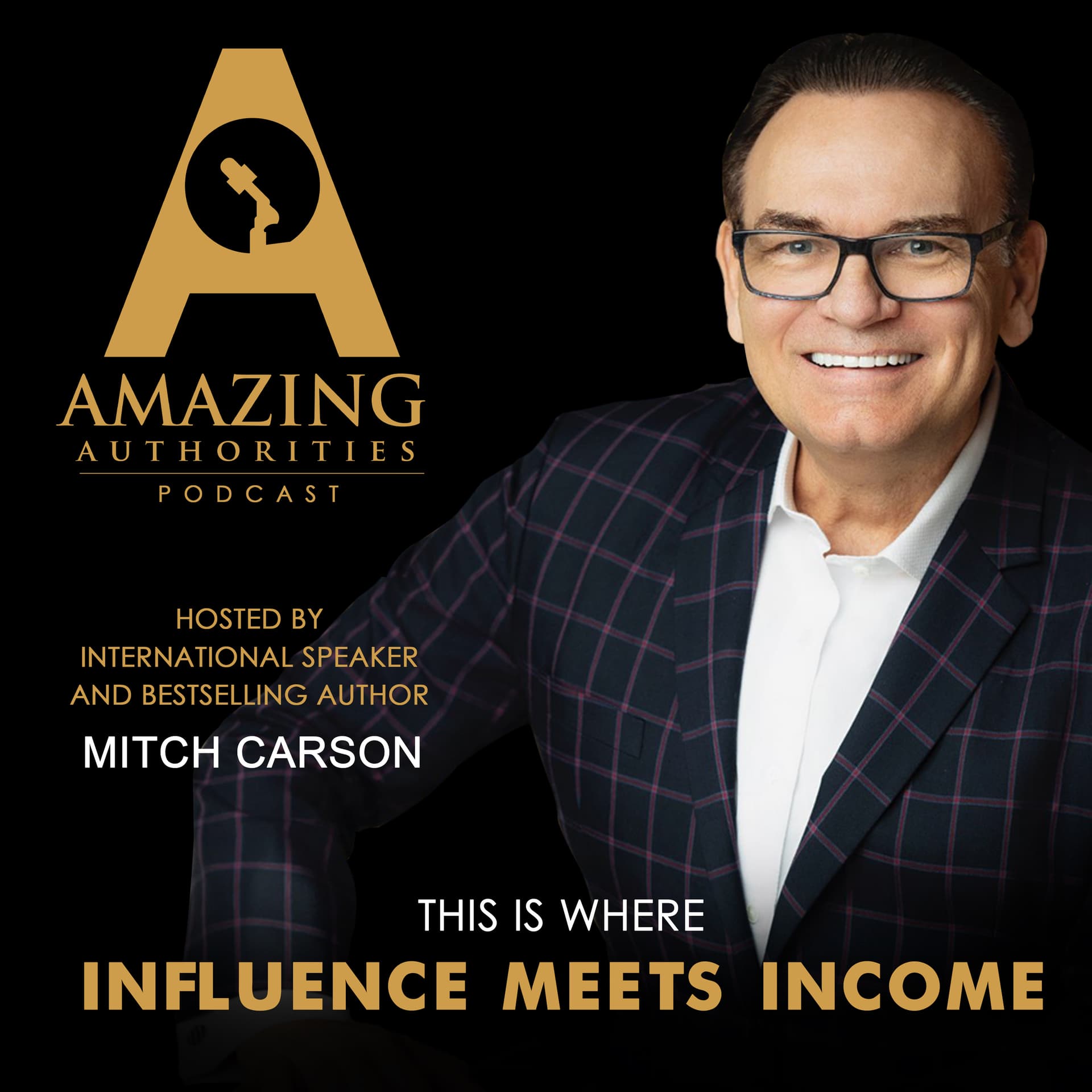 The Amazing Authorities Podcast - Podcasts