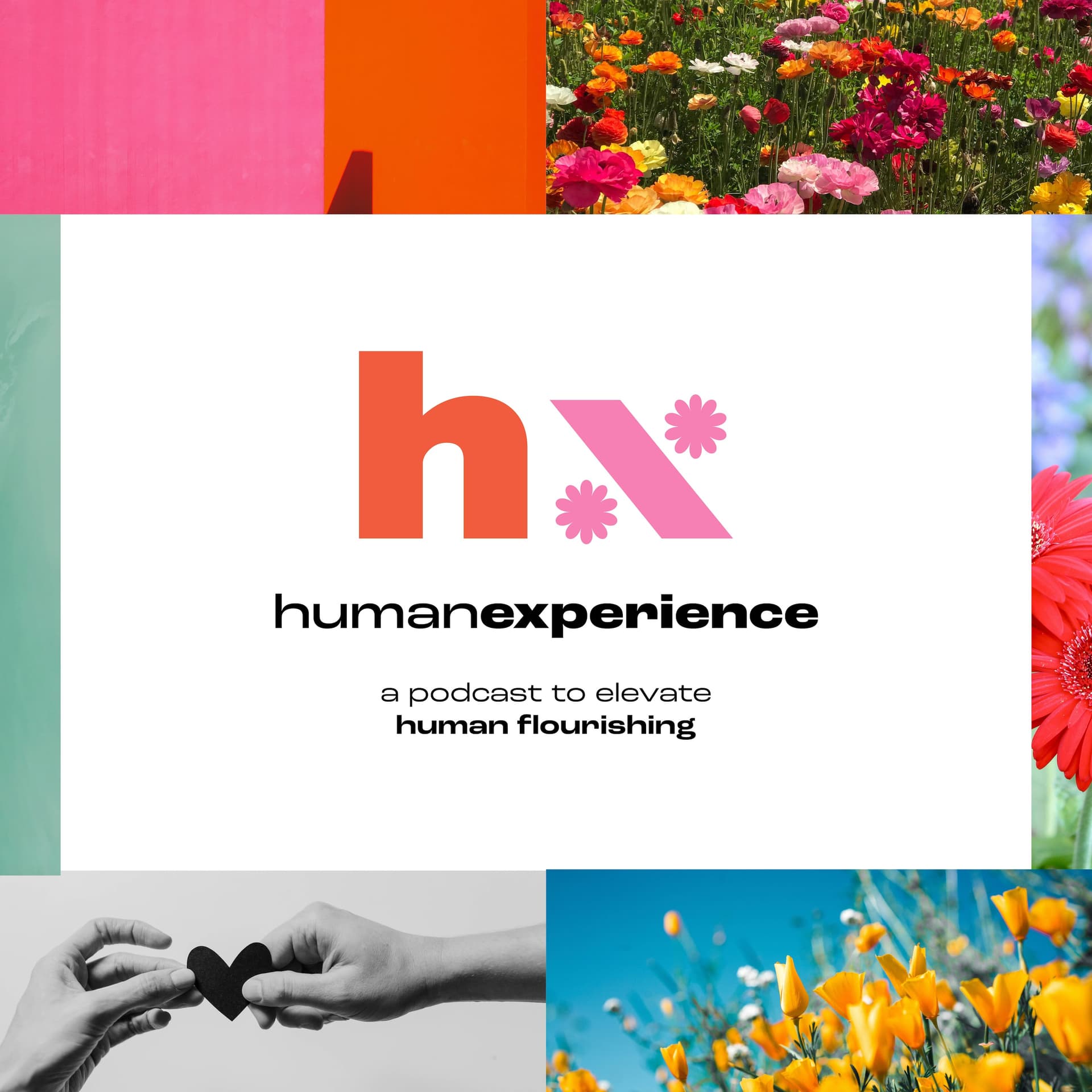 The HX Collective - Podcasts