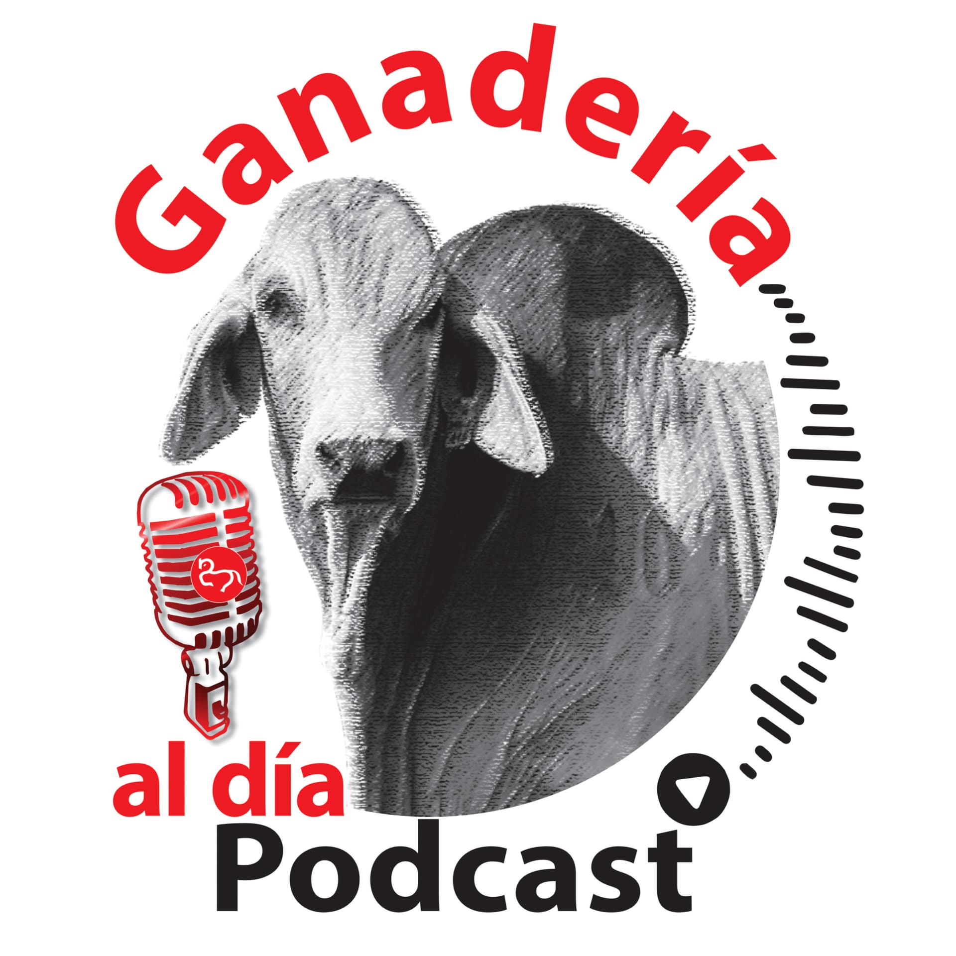 Ganadería al día - Podcasts