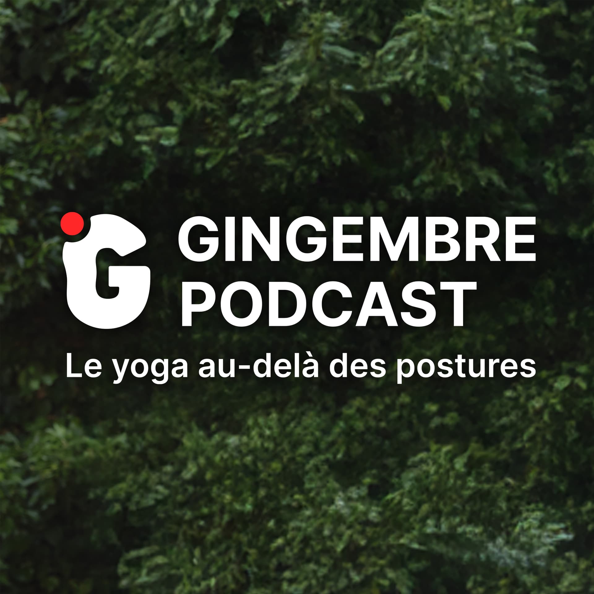 Gingembre podcast - Podcasts