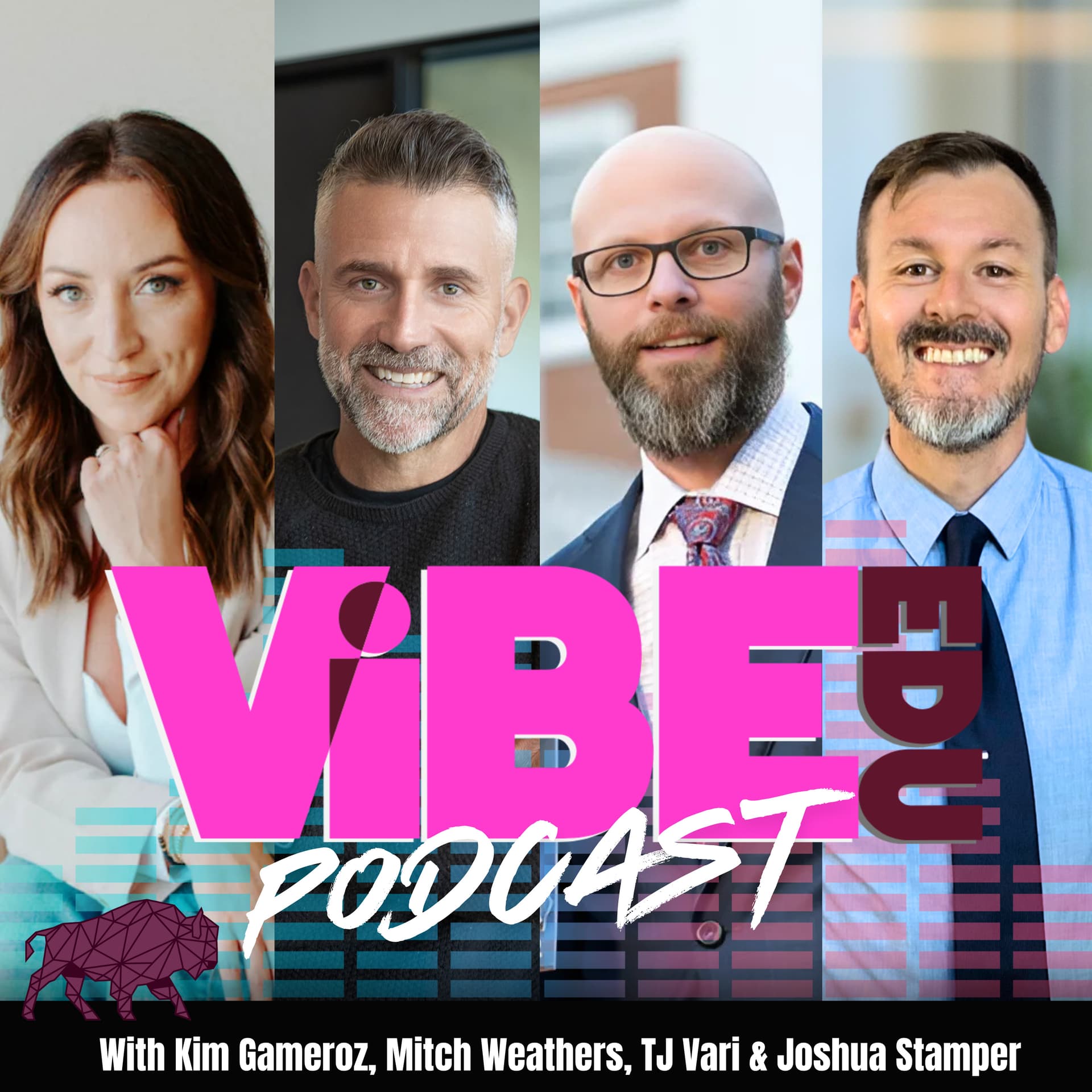 ViBE EDU Podcast - Podcasts