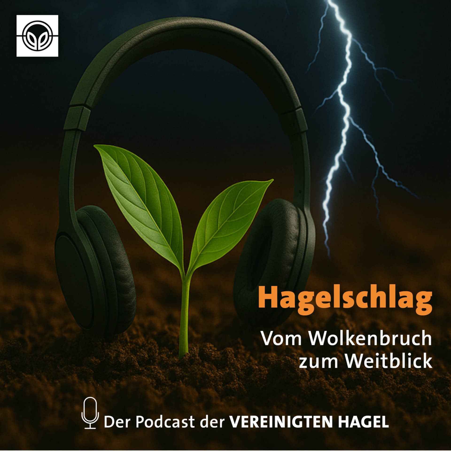 Hagelschlag - Vom Wolkenbruch zum Weitblick - Podcasts