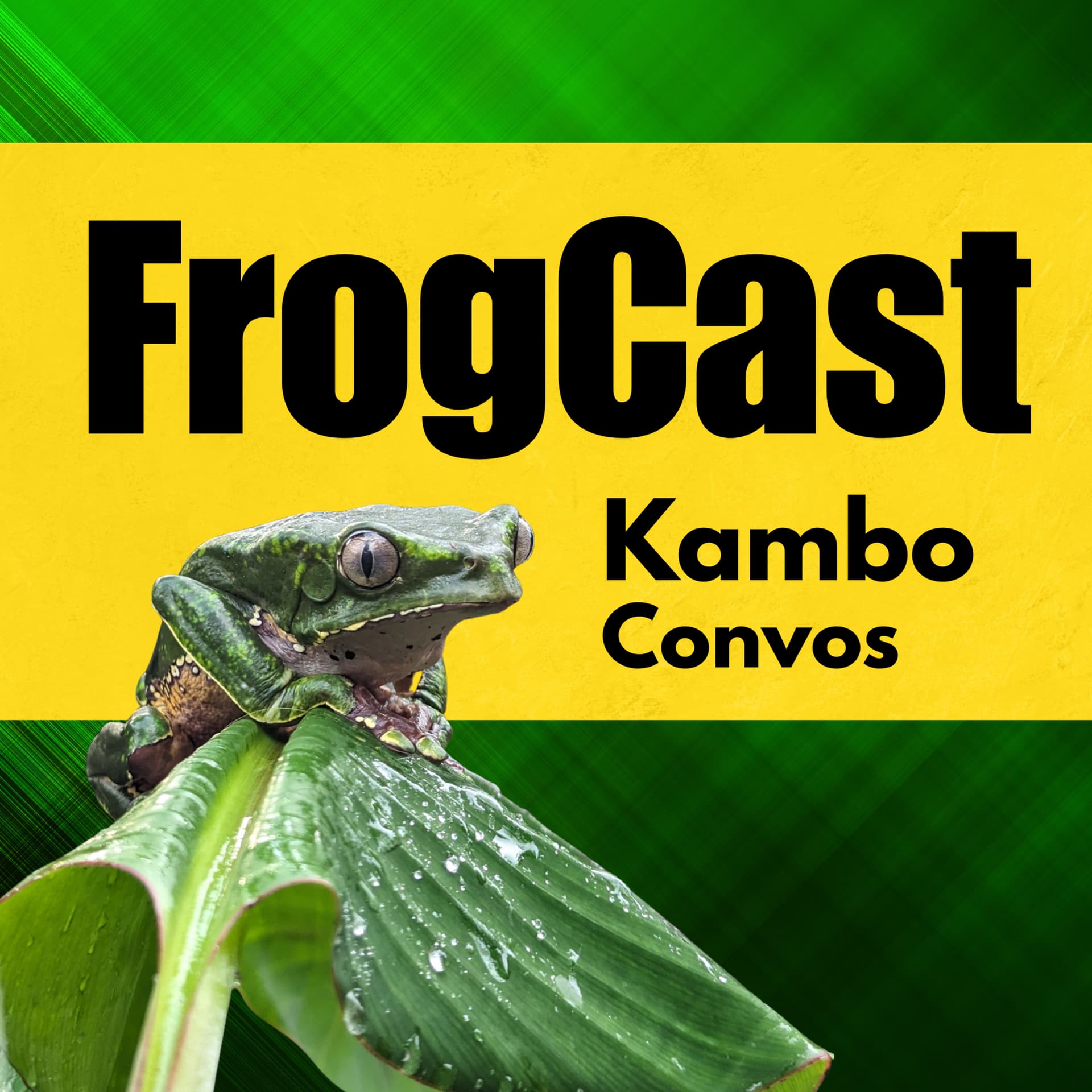 FrogCast-Kambo Convos - Podcasts