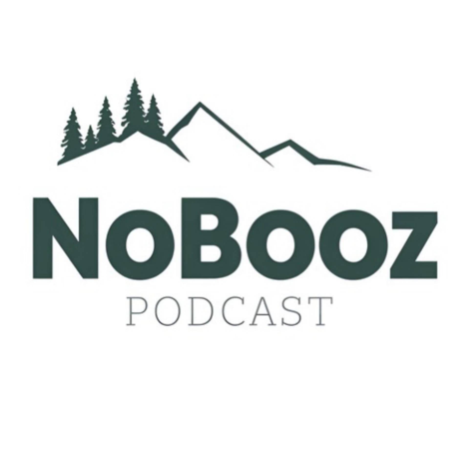 NoBooz: A Sober Addict Podcast - Podcasts