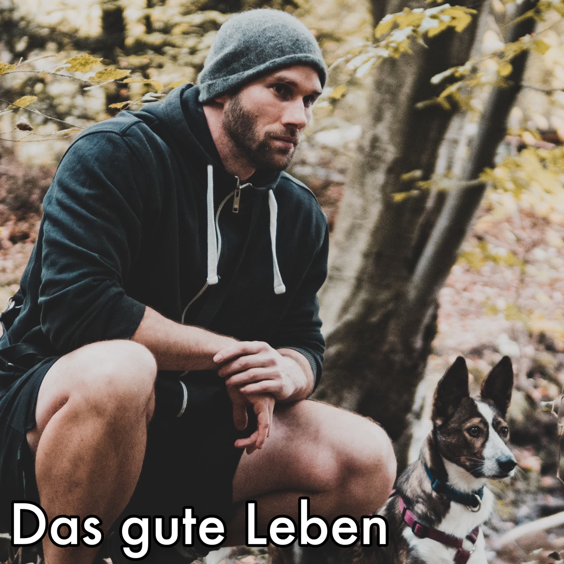 Das gute Leben in der Moderne - Podcasts