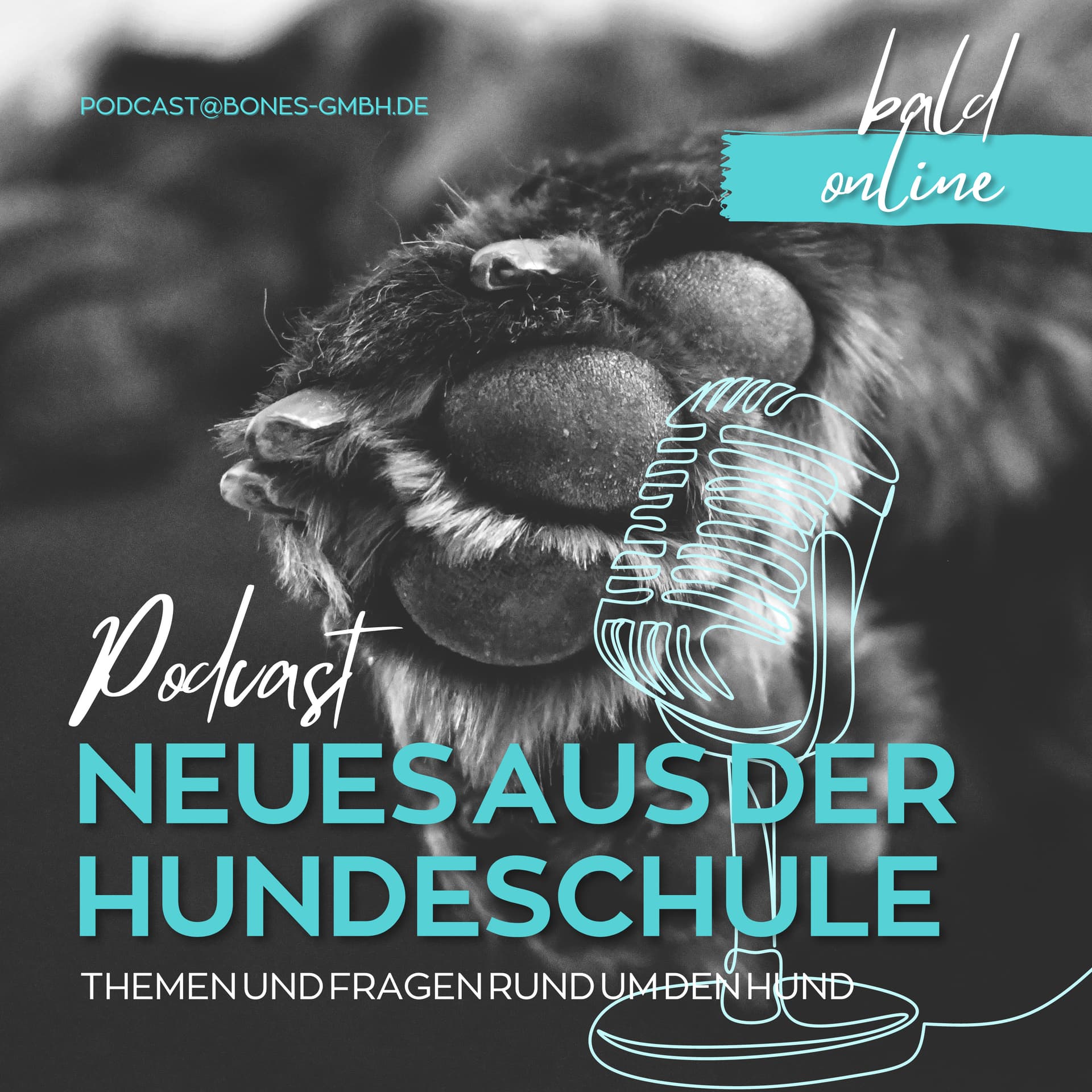 Neues aus der Hundeschule - Podcasts
