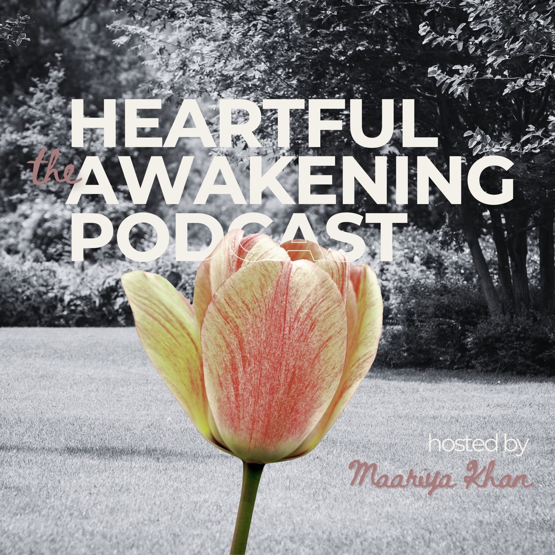 The Heartful Awakening Podcast - Podcasts