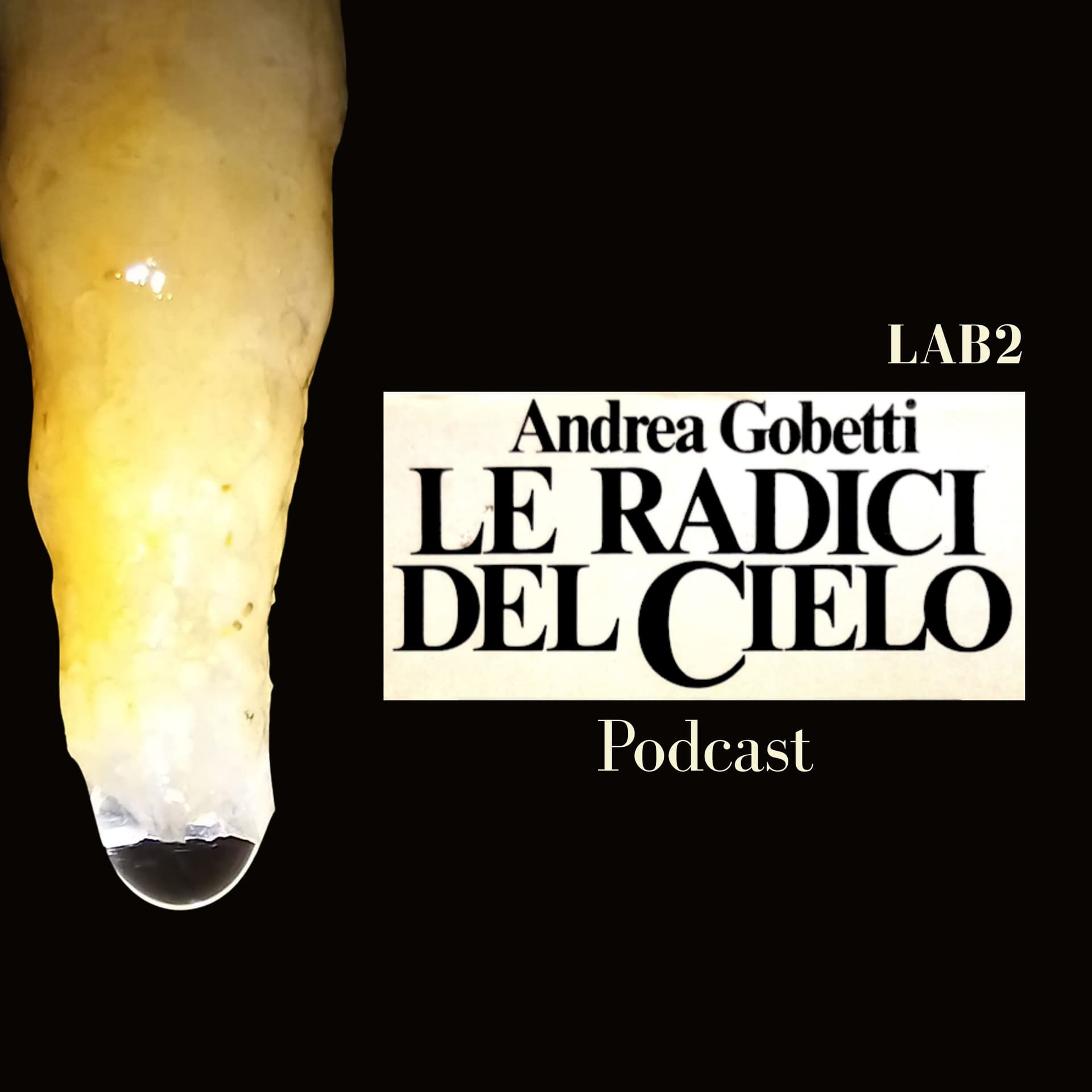 Le radici del cielo - Podcasts