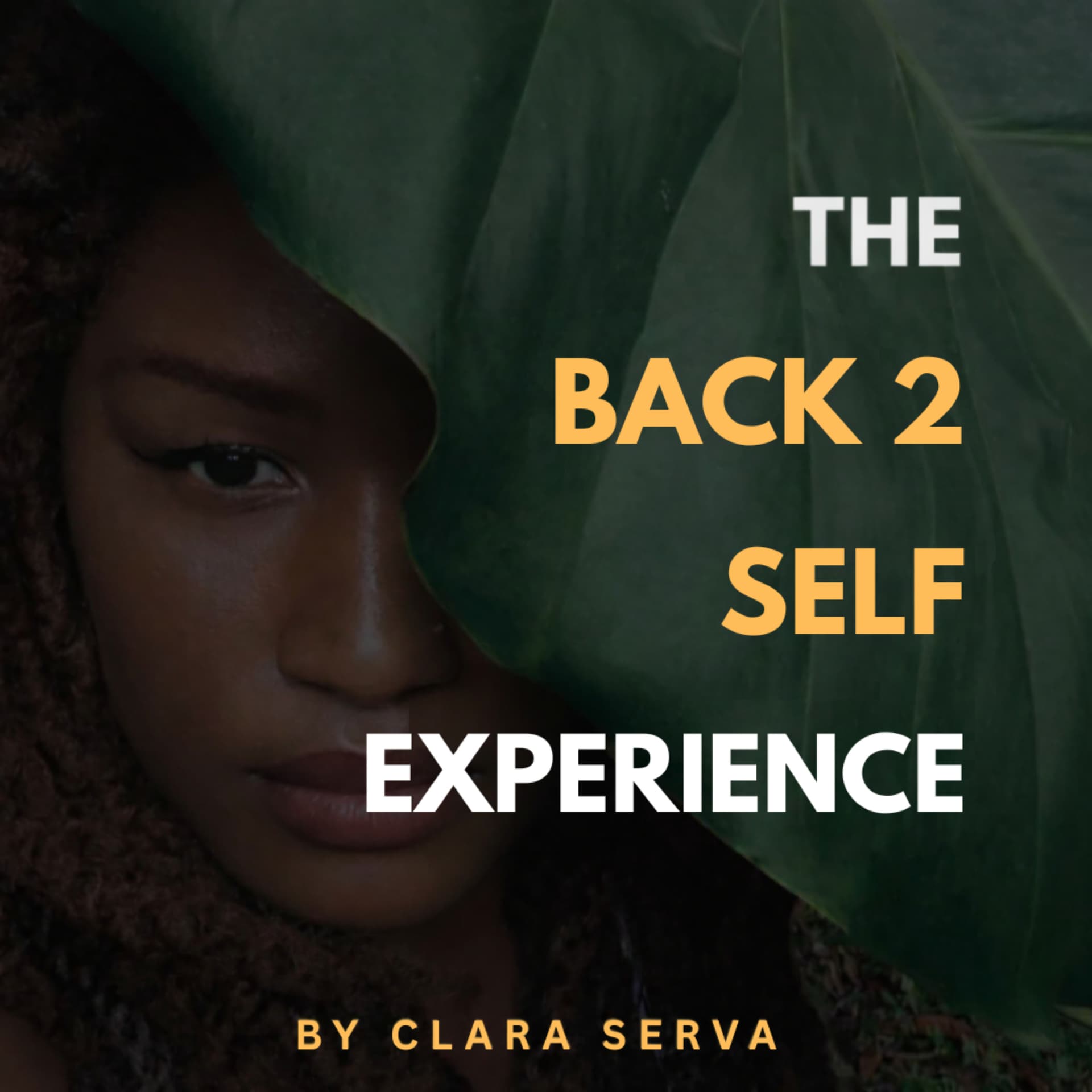 THE BACK 2 SELF EXPERIENCE - Podcasts