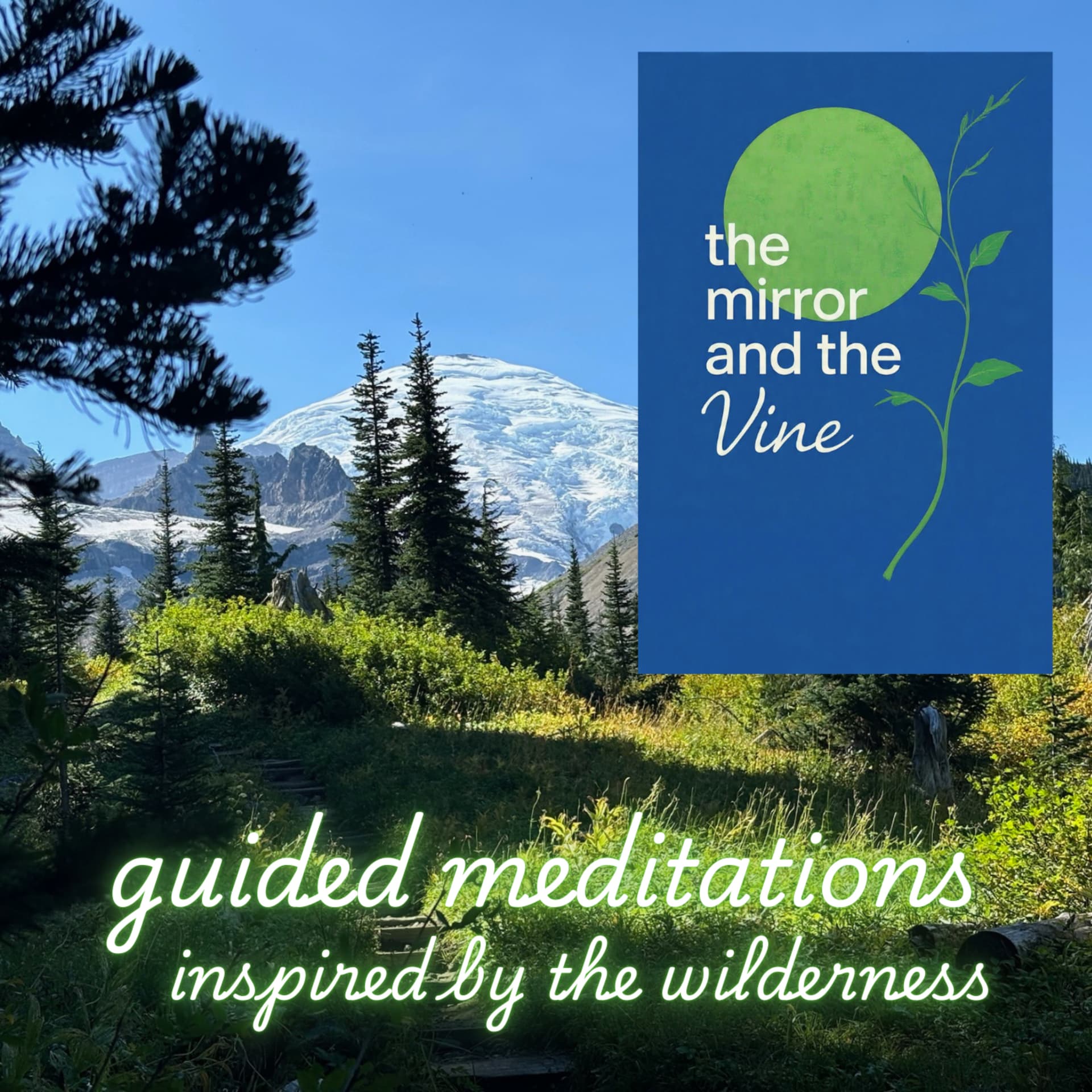 The Mirror and the Vine: Guided Meditations Set in Nature - Podcasts